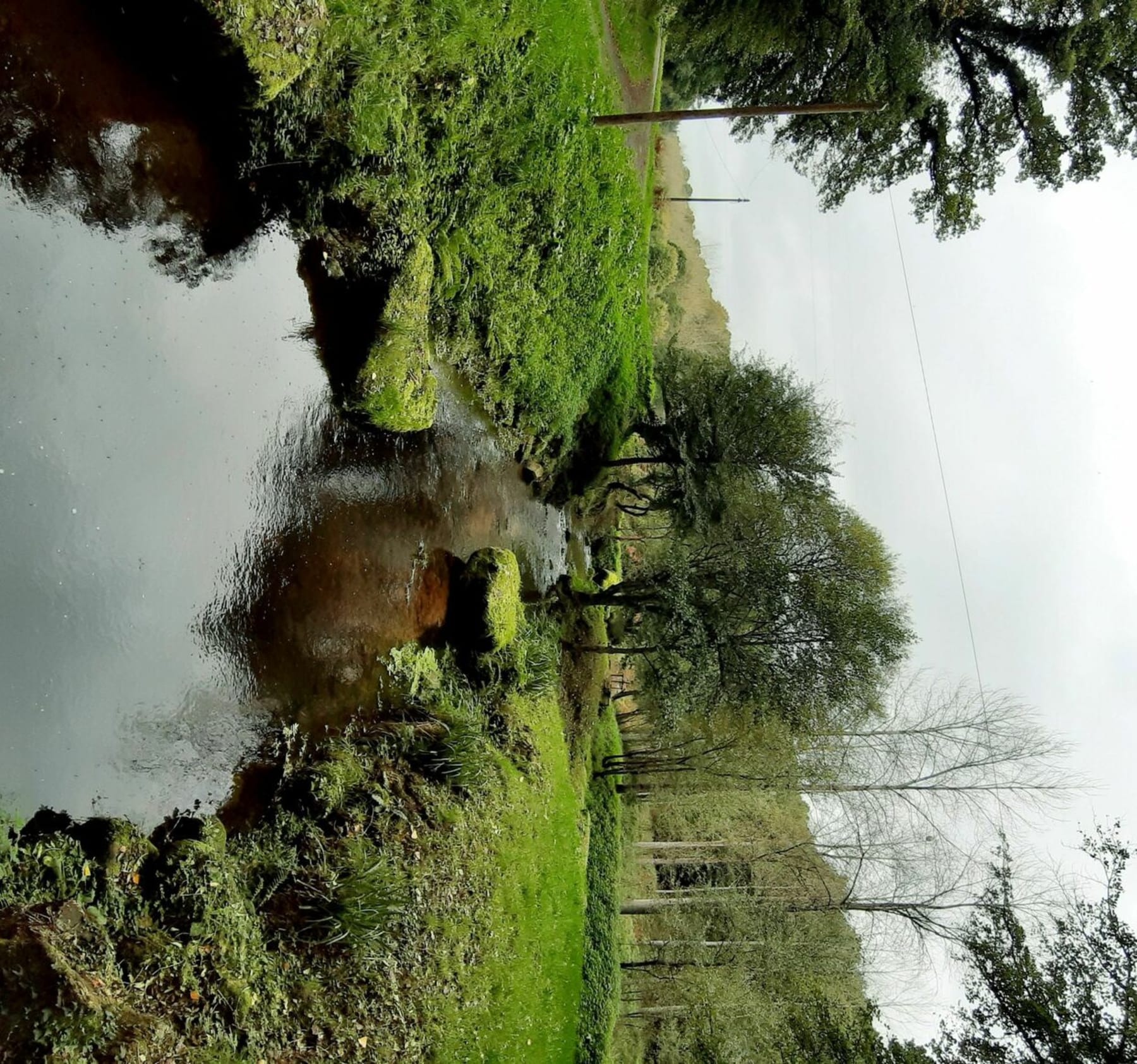 Randonnée Quintin - Vic Le bois de la perche