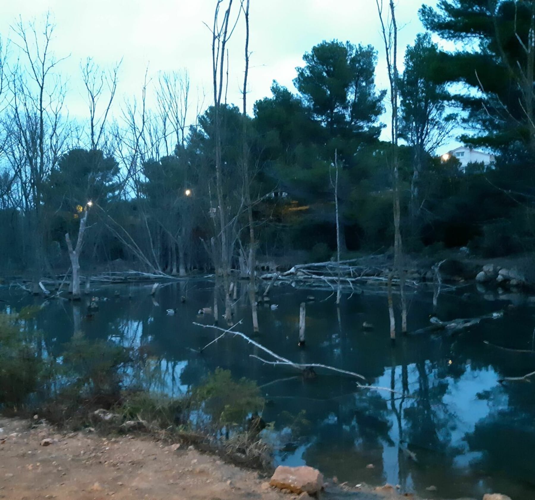 Randonnée Balaruc-les-Bains - Balade à Ballaruc au bord de l'étang de Thau