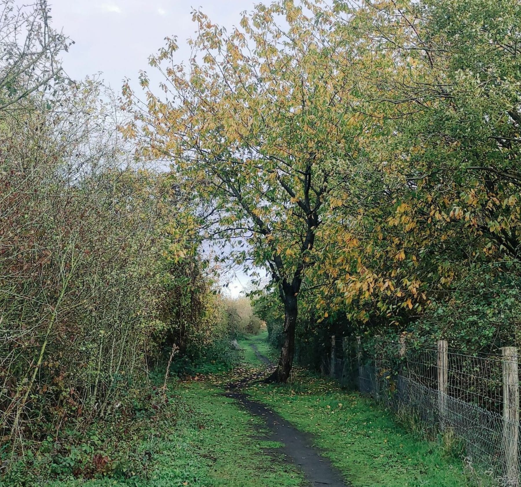 Randonnée Haillicourt - De Haillicourt à La Buissière