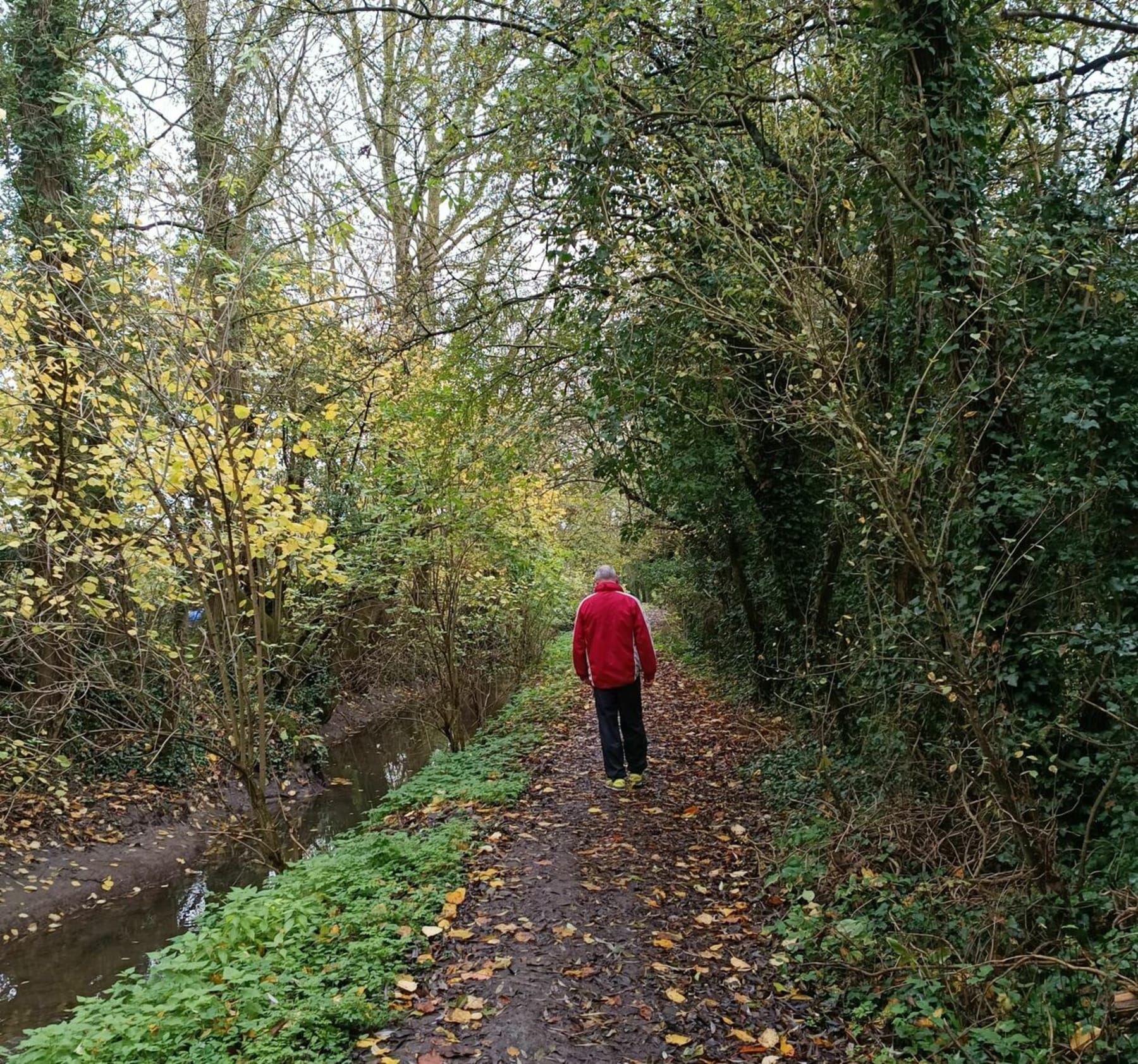 Randonnée Béthune - Promenade autour de Fouquières en passant par le golf