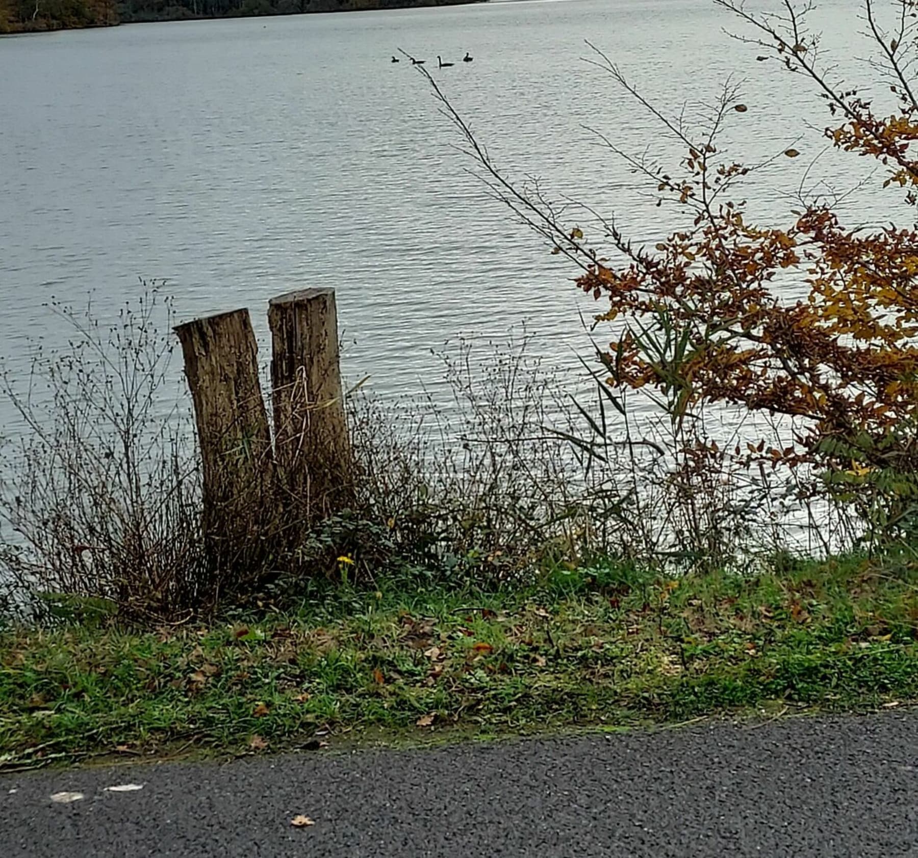 Randonnée Romorantin-Lanthenay - Sologne en toutes saisons à Vélo