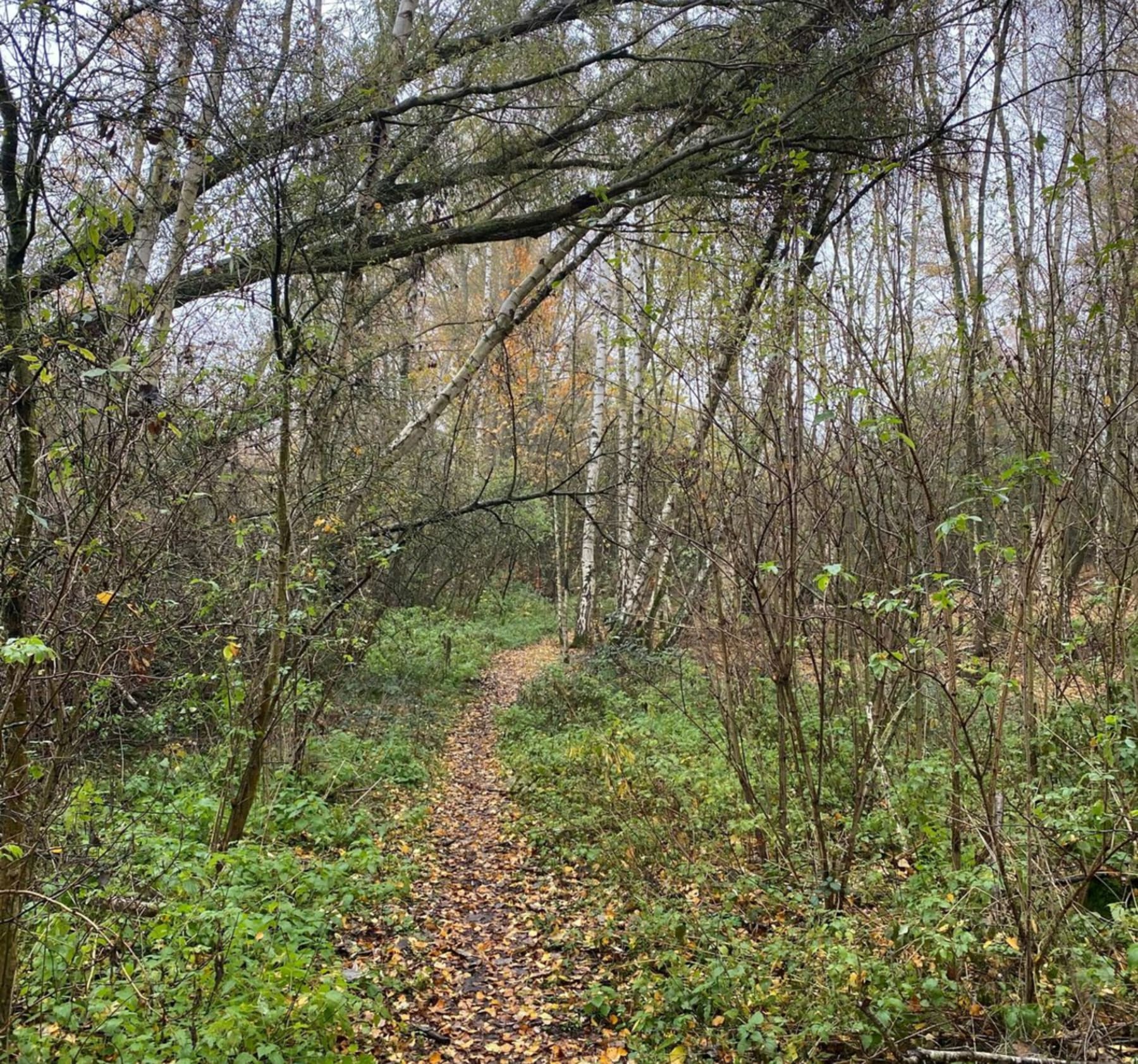 Randonnée Annezin - Sortie autour du canal depuis Annezin