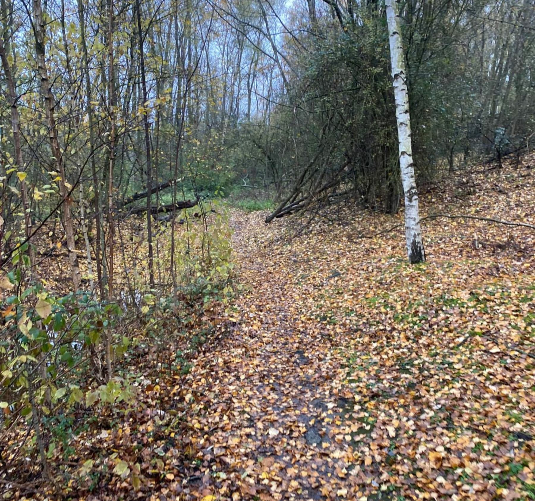 Randonnée Annezin - Sortie autour du canal depuis Annezin