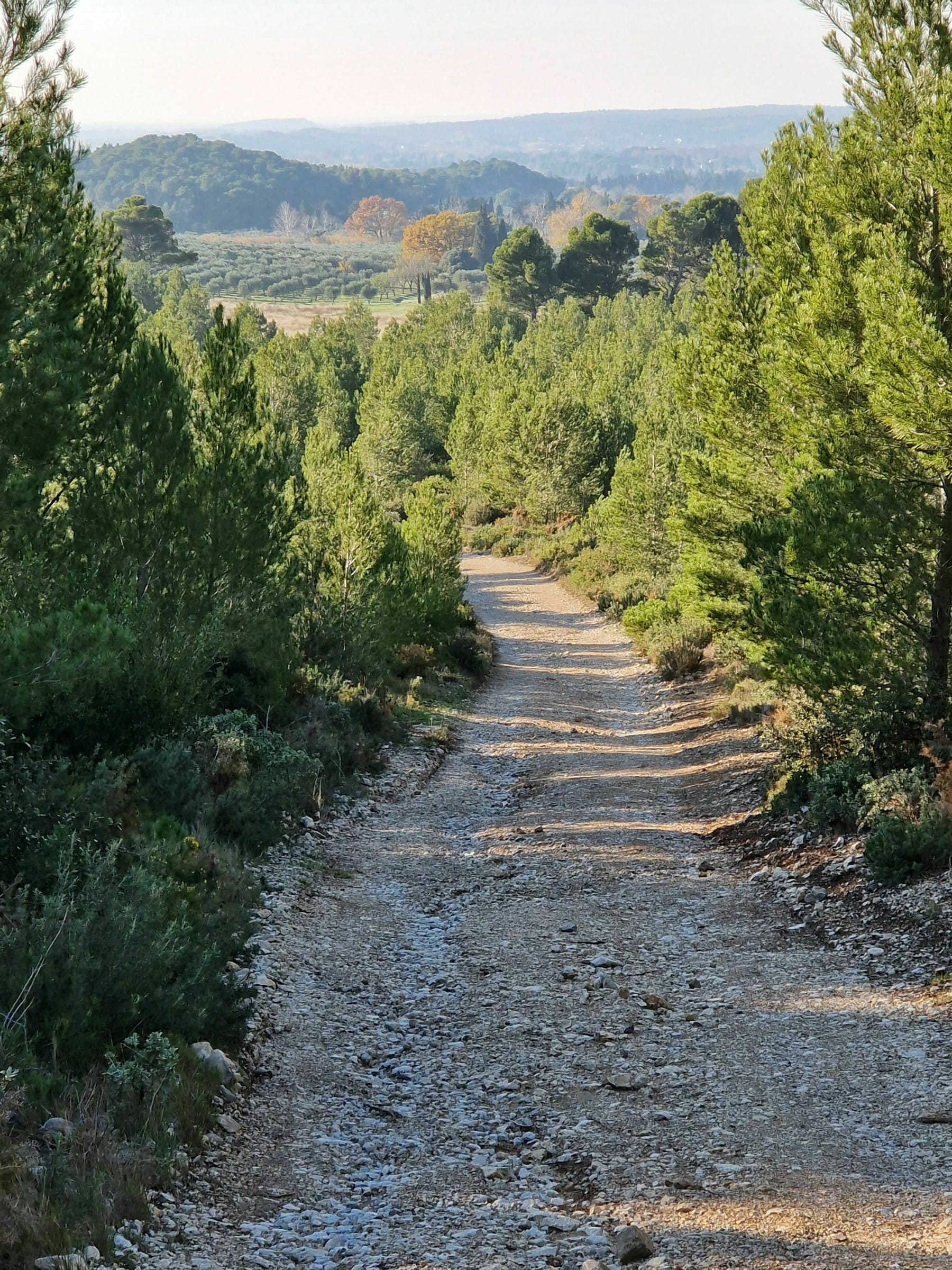 Randonnée Mouriès - Boucle de l'Oppidum des caisses de Jean Jean