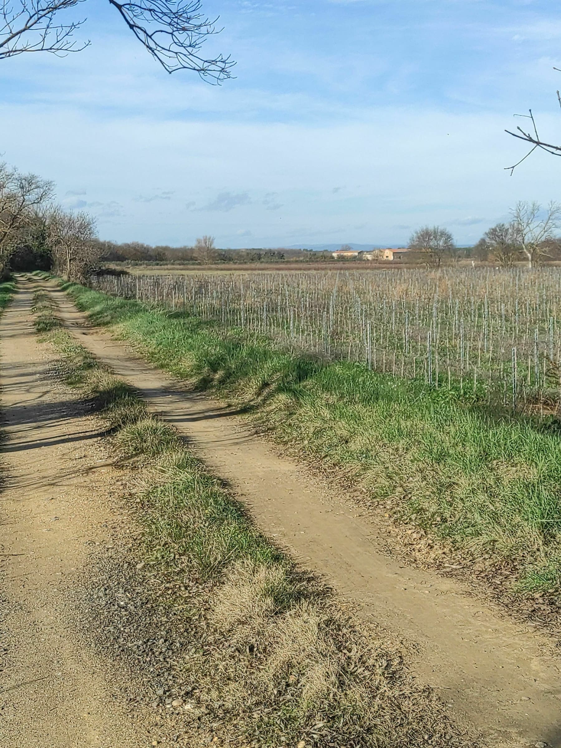 Randonnée Vias - Balade entre Vias et Bessan