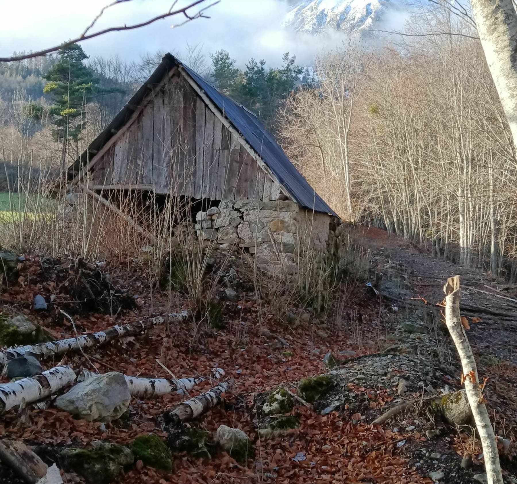 Randonnée la Fare  en Champsaur - Le long des torrents de Brutinel, sous l'Aiguille de Laye