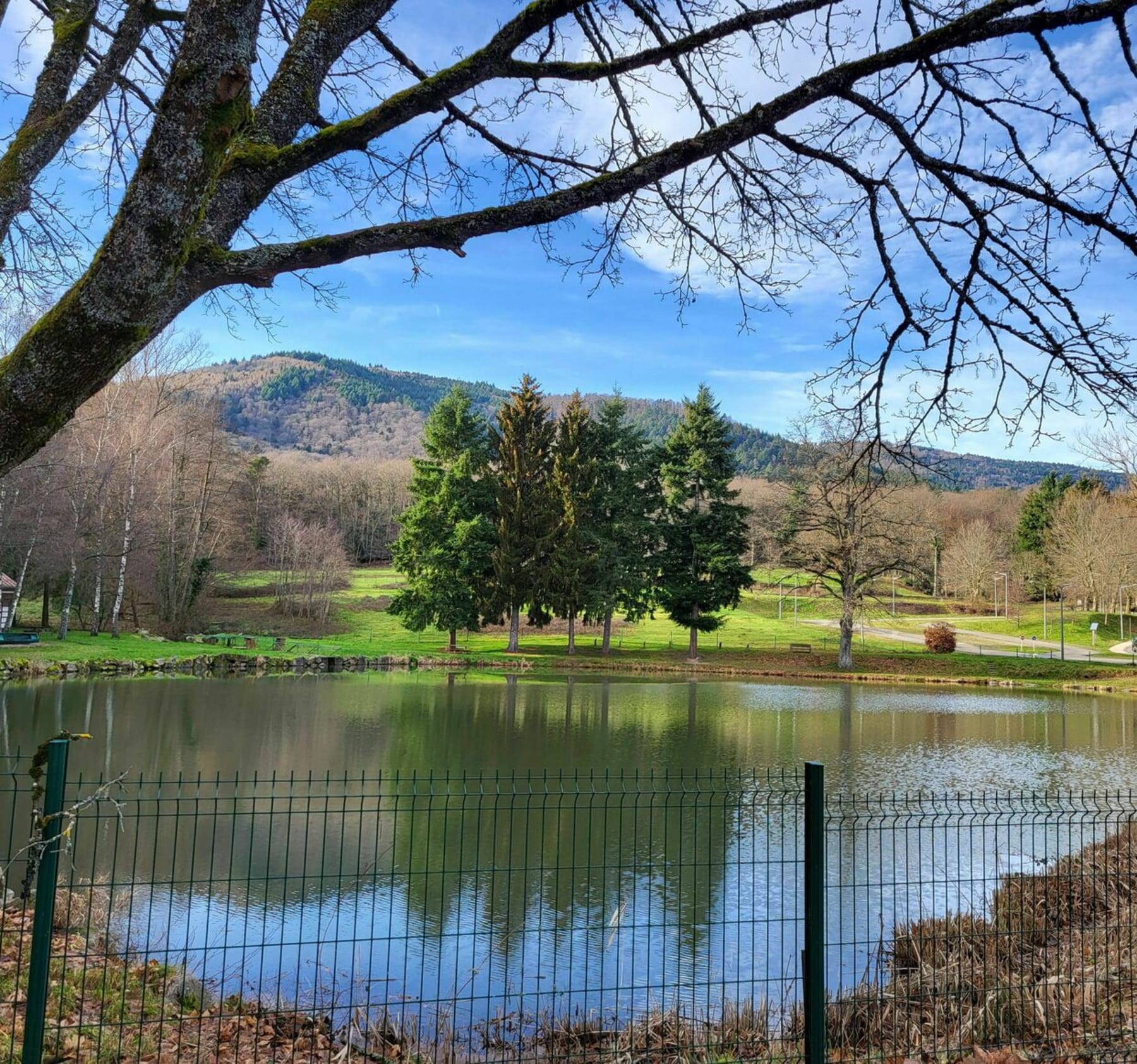 Randonnée Jungholtz. - Jungholtz - Thierenbach, chemin de croix, parc à cigognes