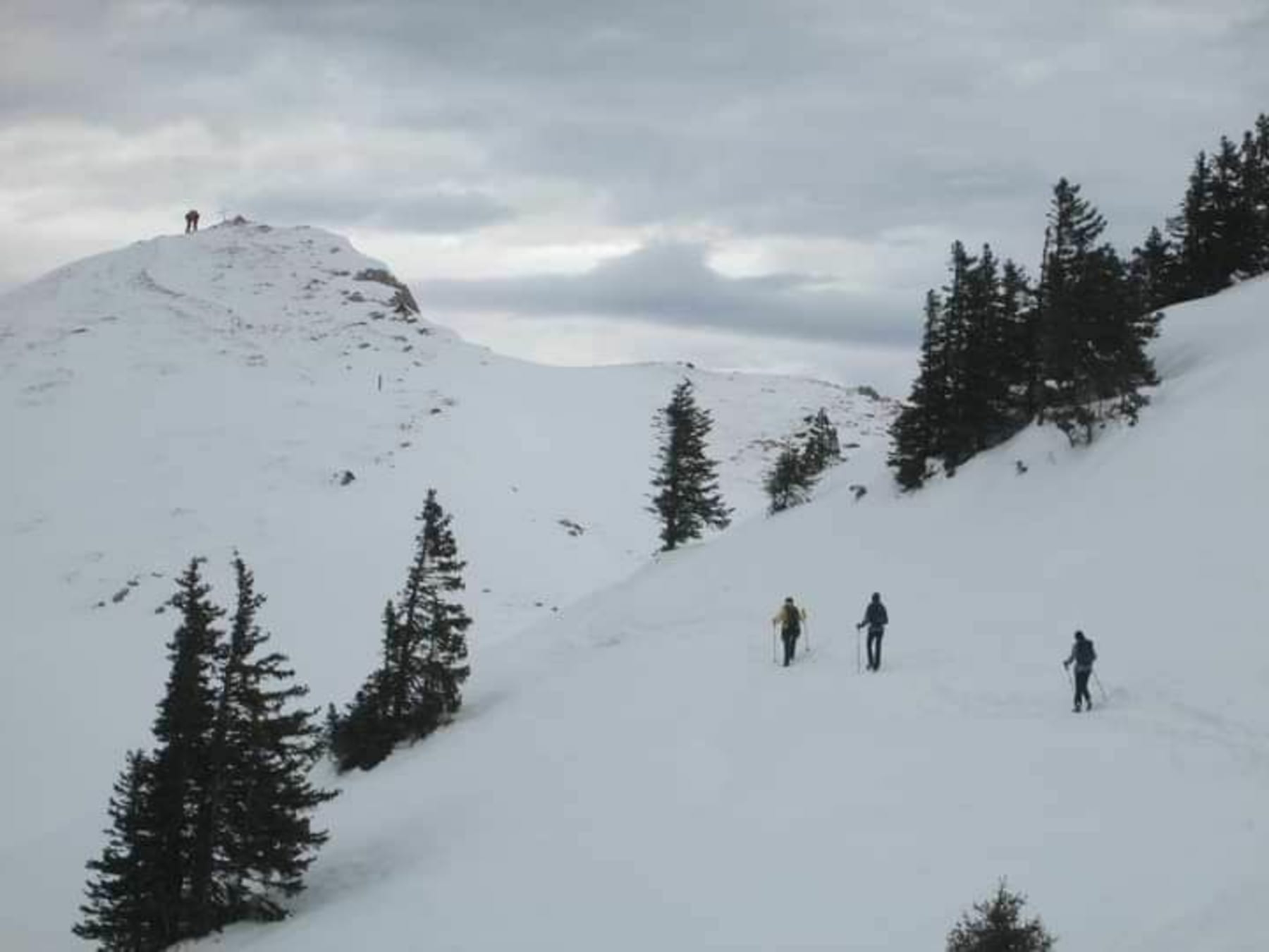 Randonnée Villard-de-Lans - Pic Saint-Michel via le Col de l'Arc