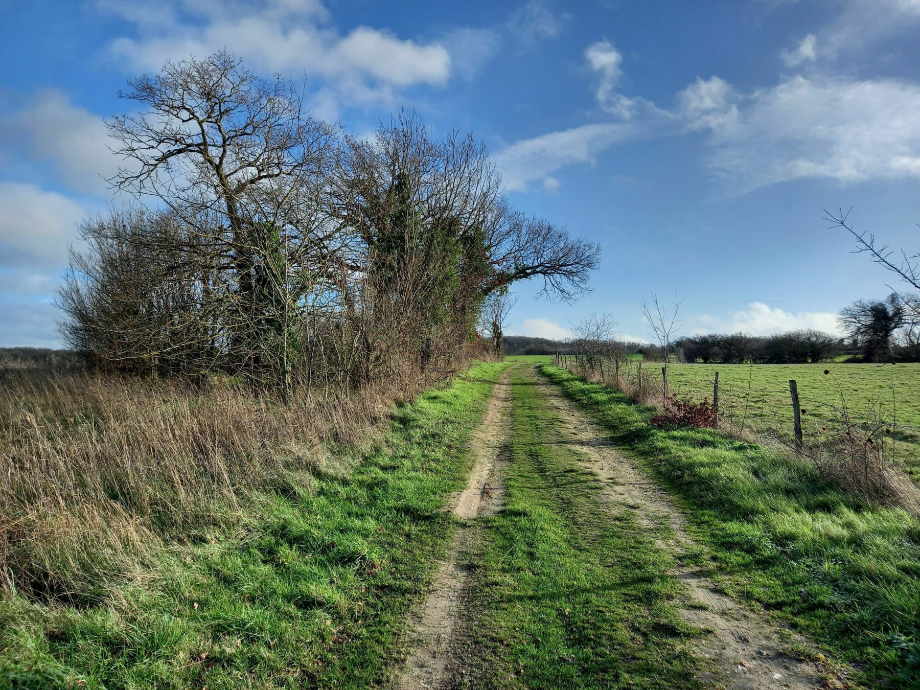 Randonnée Limetz-Villez - Petite oxygénation dans le Bois du moulin à Vent