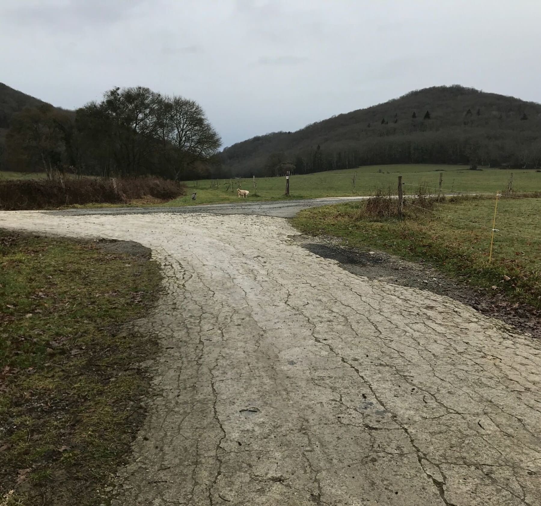 Randonnée Sauveterre-de-Comminges - Petite balade sur le chemin blanc de Sauveterre