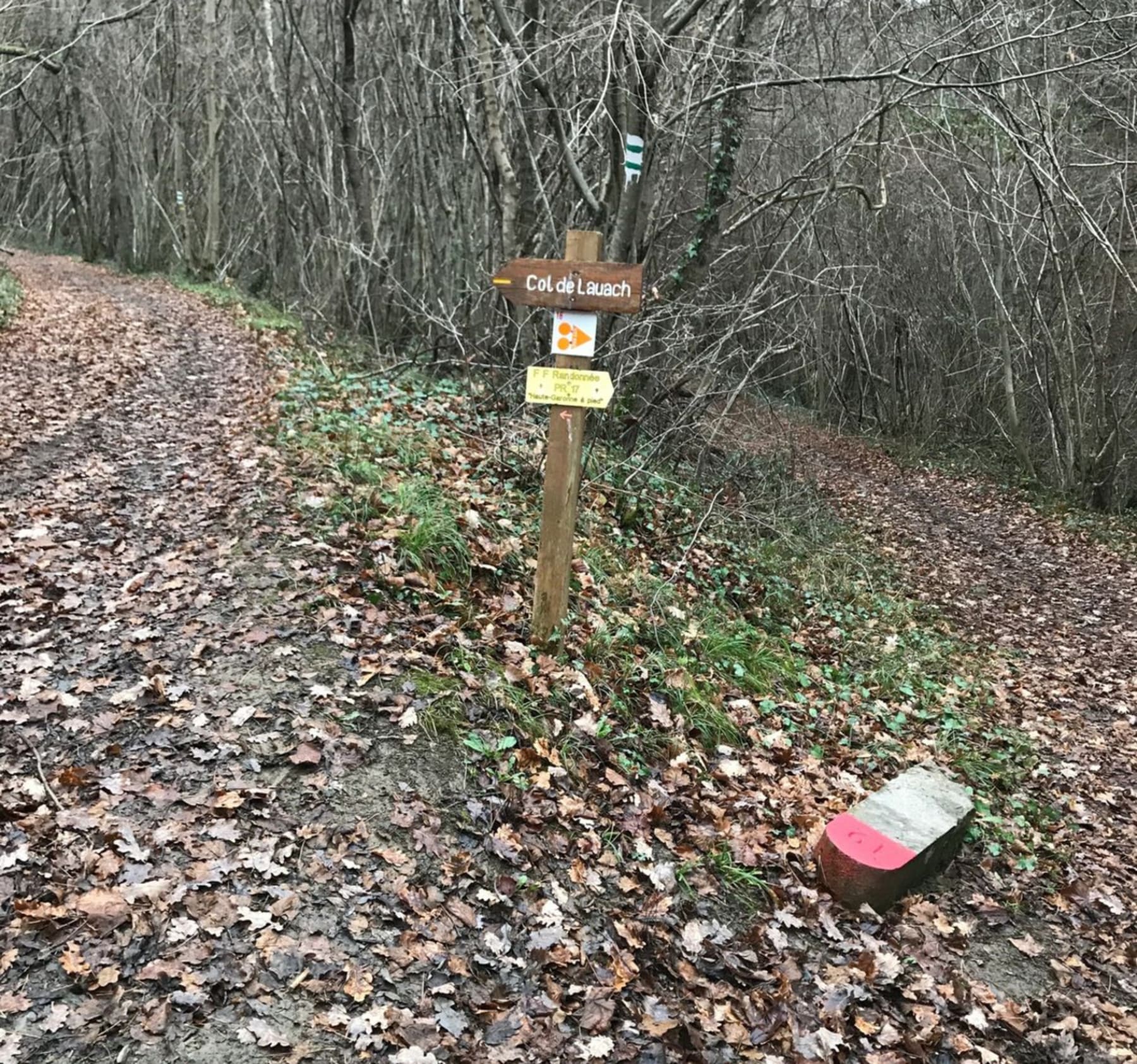 Randonnée Sauveterre-de-Comminges - Petite balade sur le chemin blanc de Sauveterre