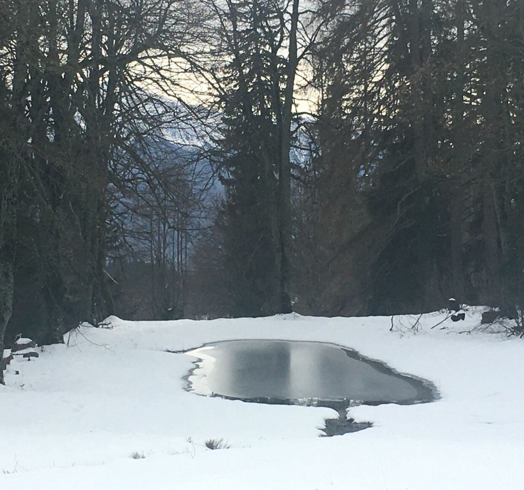 Randonnée Plateau-des-Petites-Roches - La Cabane du Berger depuis Saint-Hil'