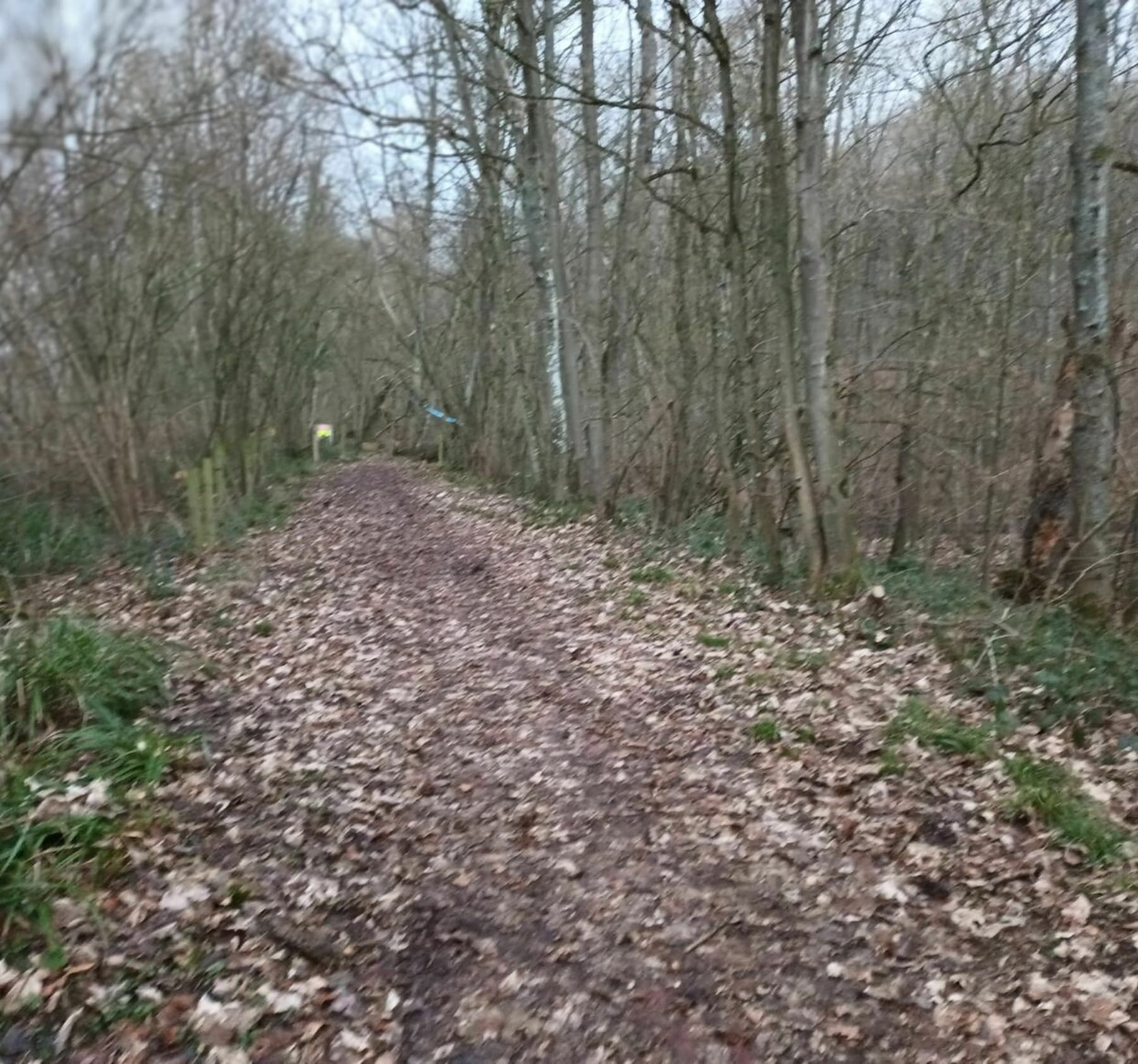 Randonnée Lapugnoy - Lapugnoy et le bois de Roquelaure