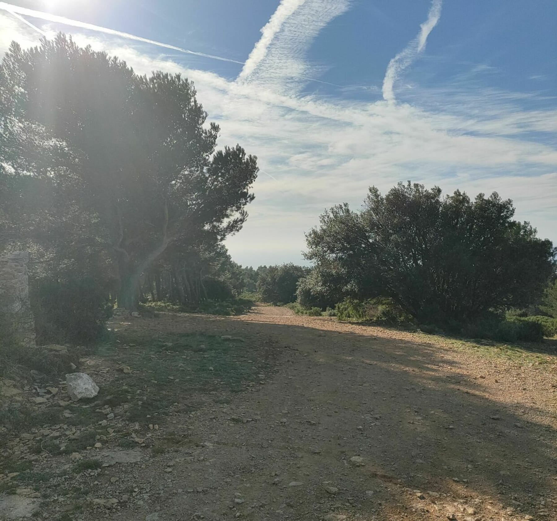 Randonnée La Ciotat - Montée du Télégraphe sur les hauteurs de La Ciotat