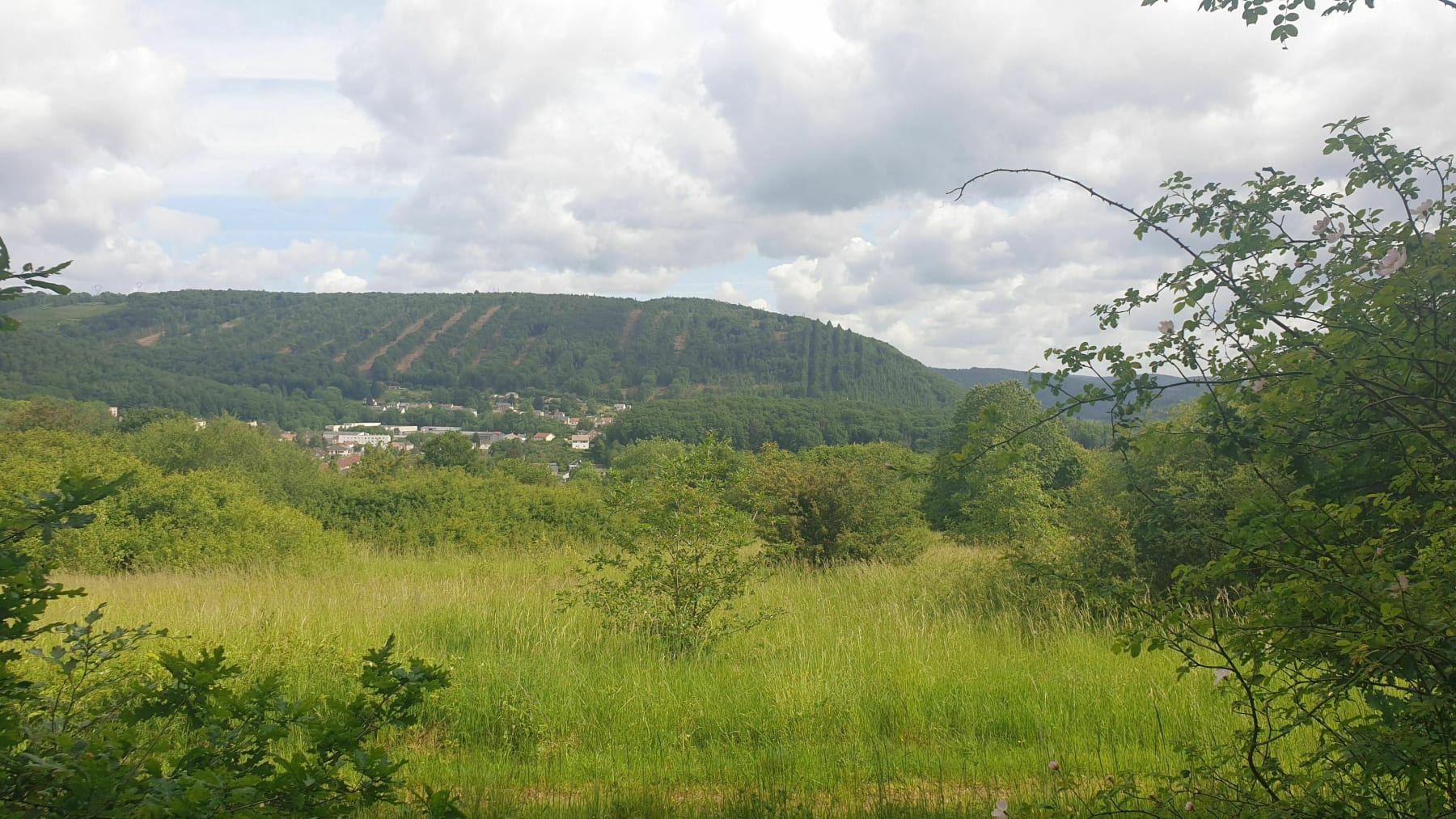 Randonnée Nouzonville - Les hauteurs de Nouzonville