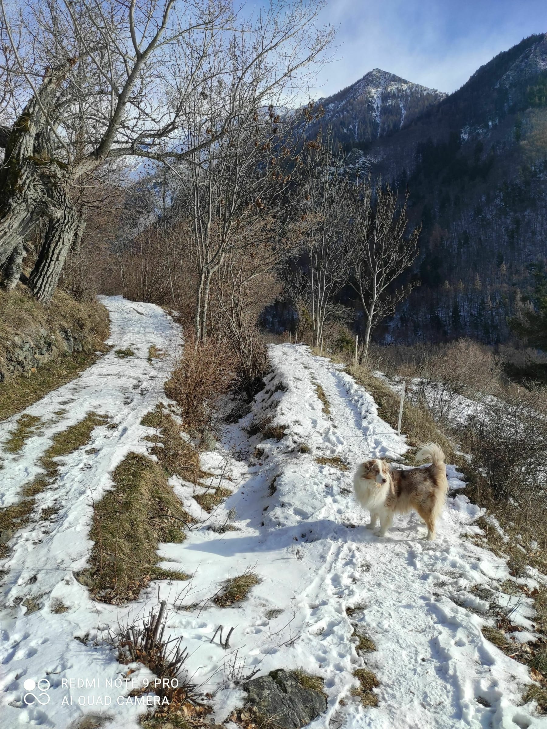 Randonnée La Motte-en-Champsaur - Balade hivernale Canal de la Motte en Champsaur