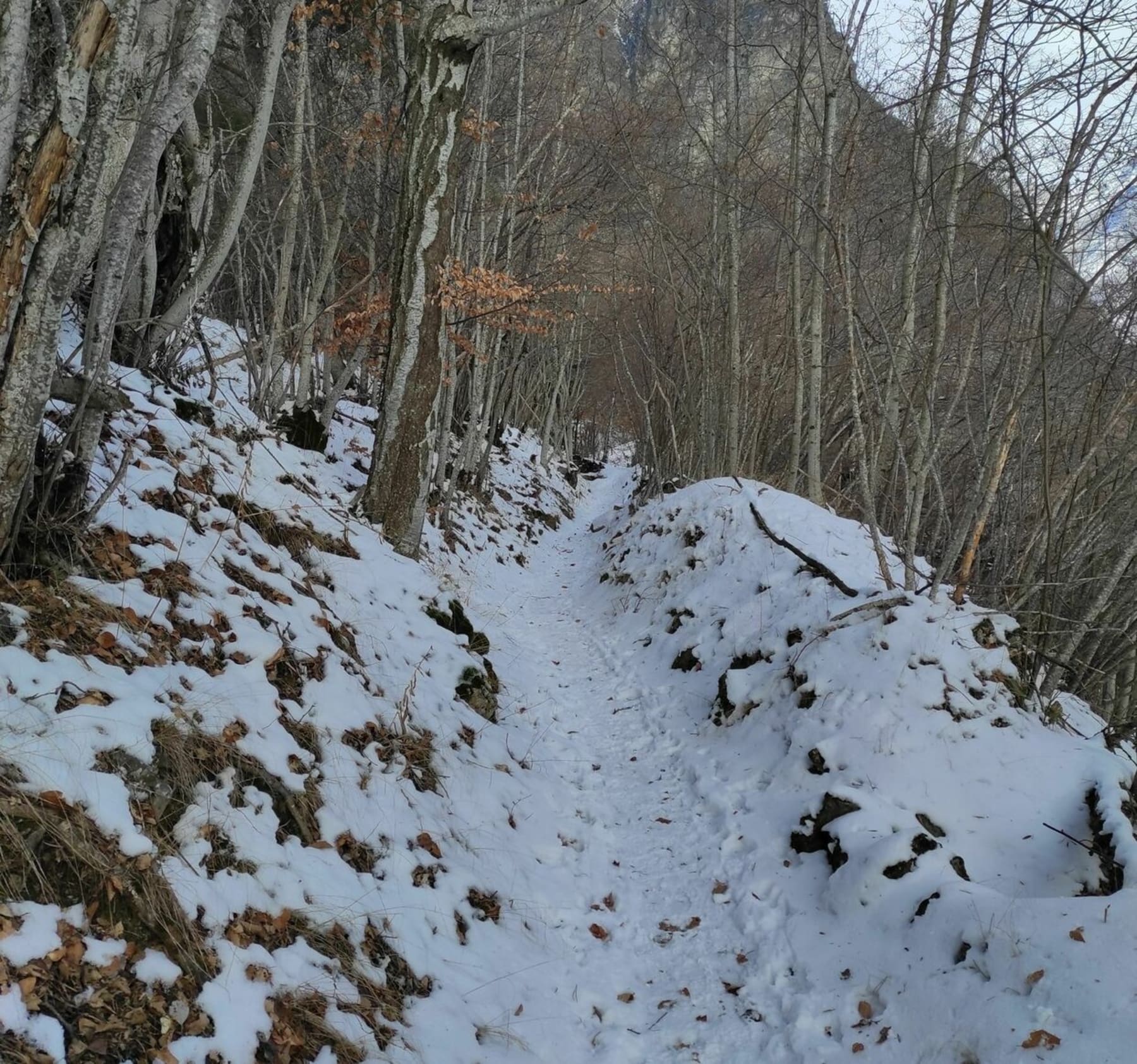 Randonnée La Motte-en-Champsaur - Balade hivernale Canal de la Motte en Champsaur