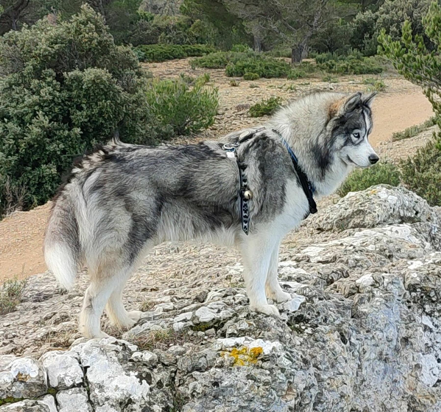 Randonnée Allauch - Belle randonnée au domaine de Pichauris