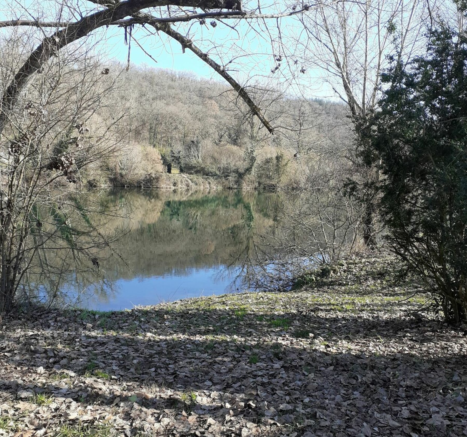 Randonnée Arthès - Balade les Avalats - St Juery le haut