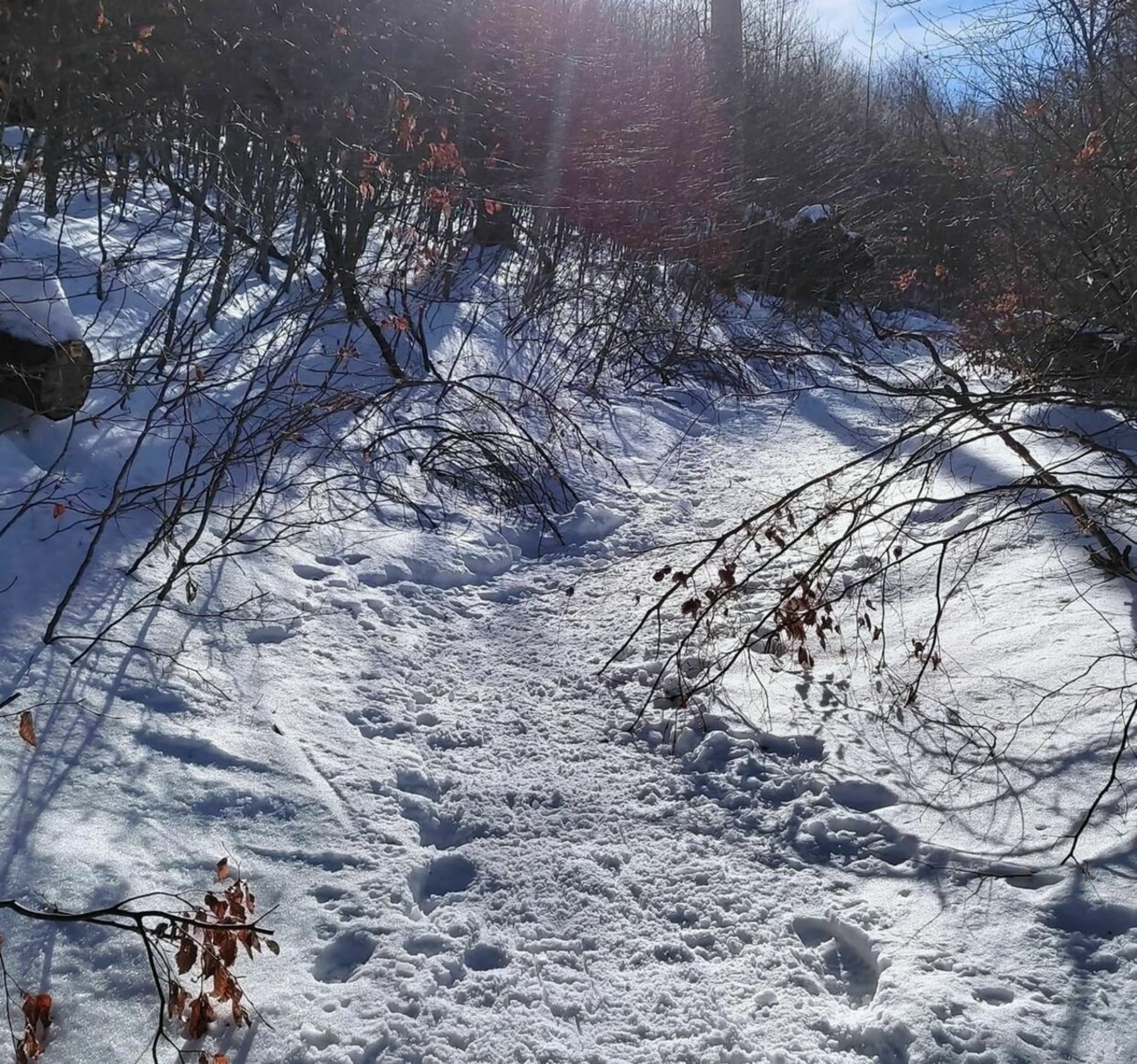 Randonnée Portet-d'Aspet - Randonnée Le puech