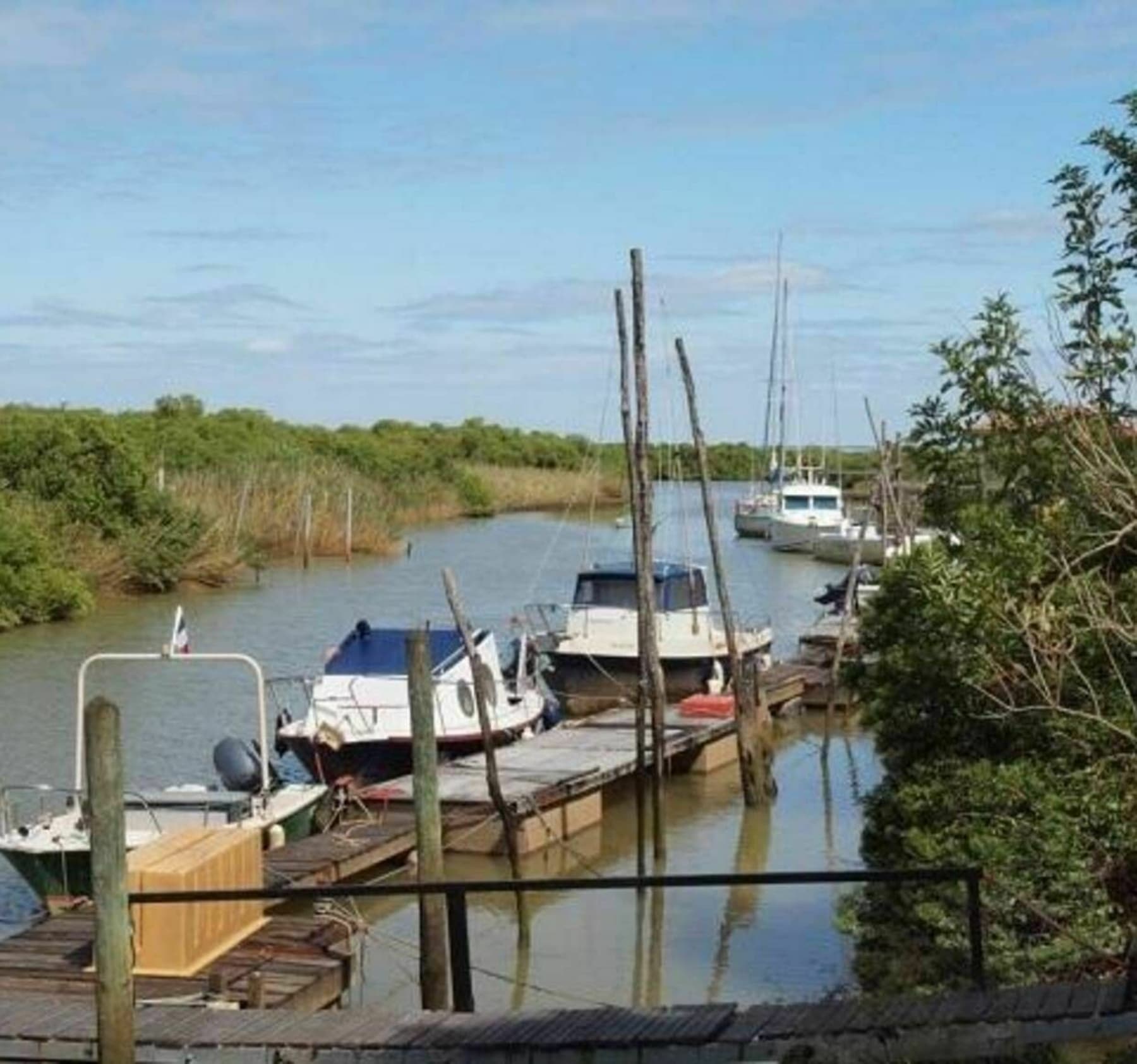 Randonnée Valeyrac - Première sortie sur l'estuaire