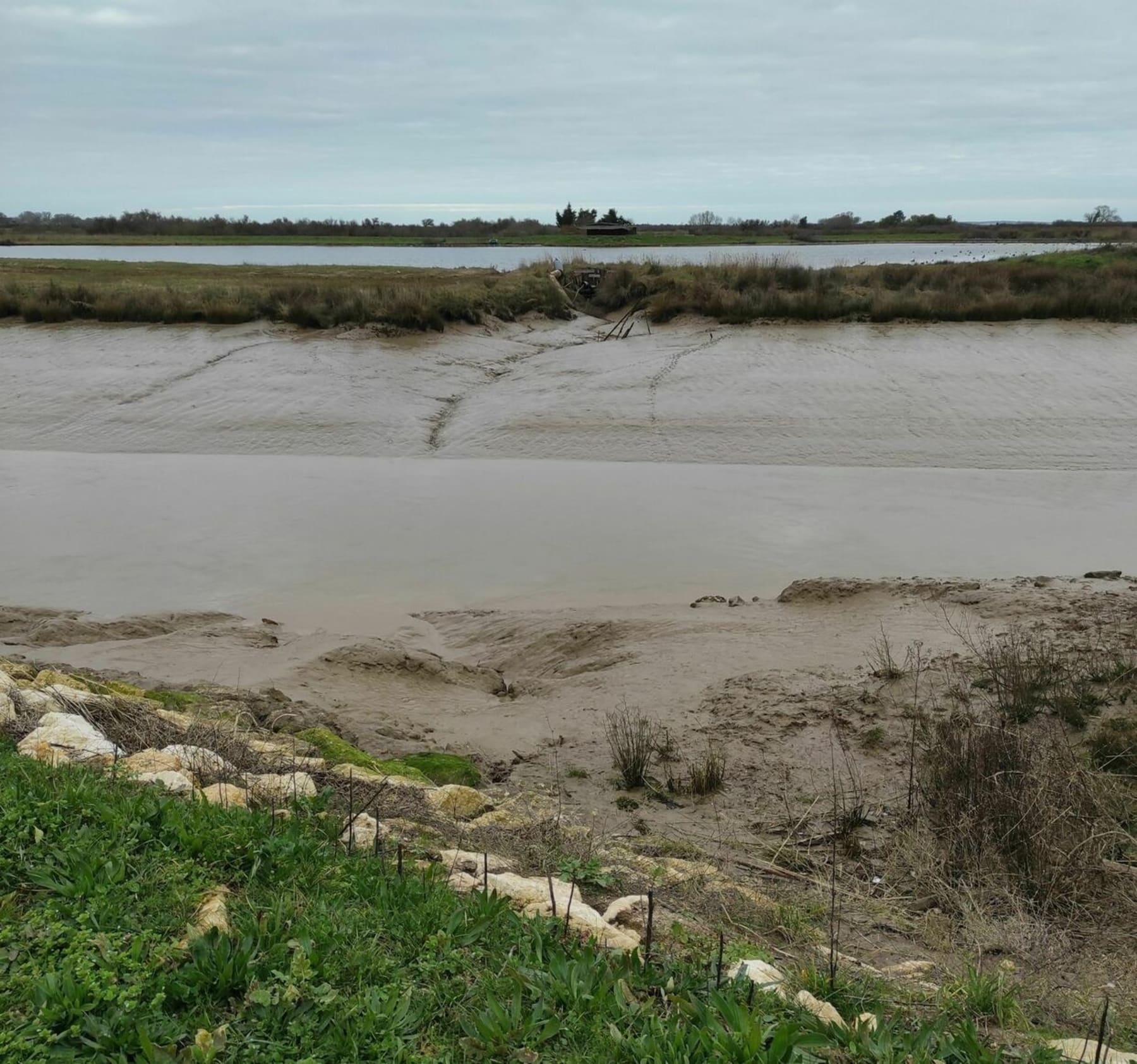 Randonnée Valeyrac - Première sortie sur l'estuaire