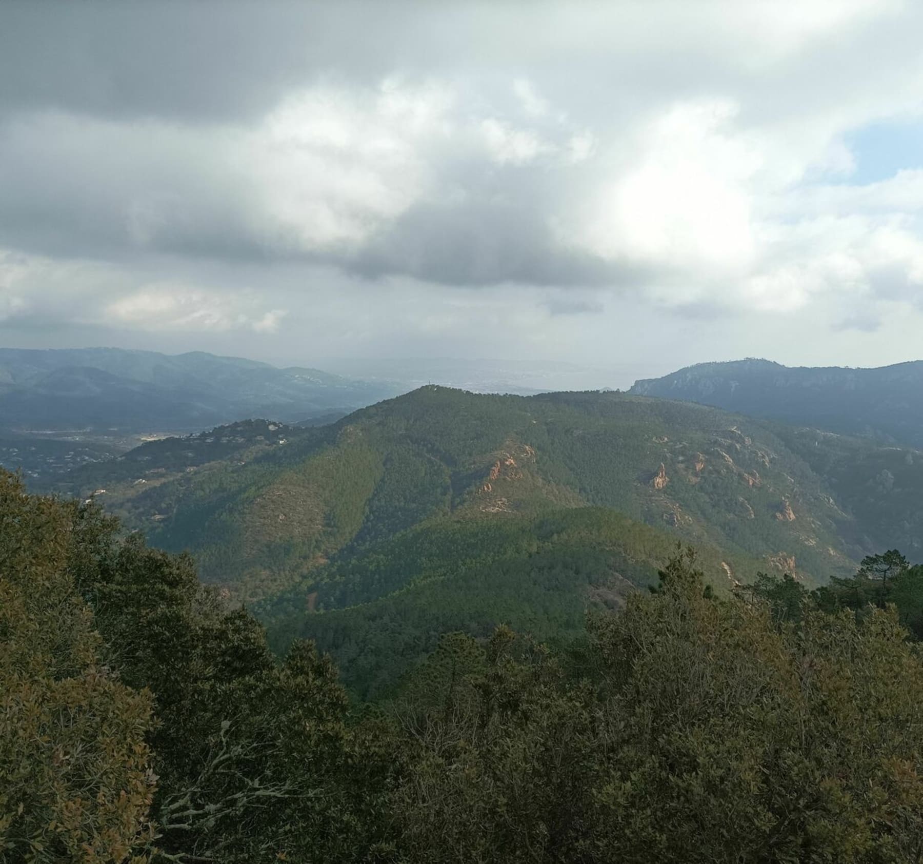 Randonnée Les Adrets-de-l'Estérel - Mont vinaigre depuis le Col du Logis de Paris