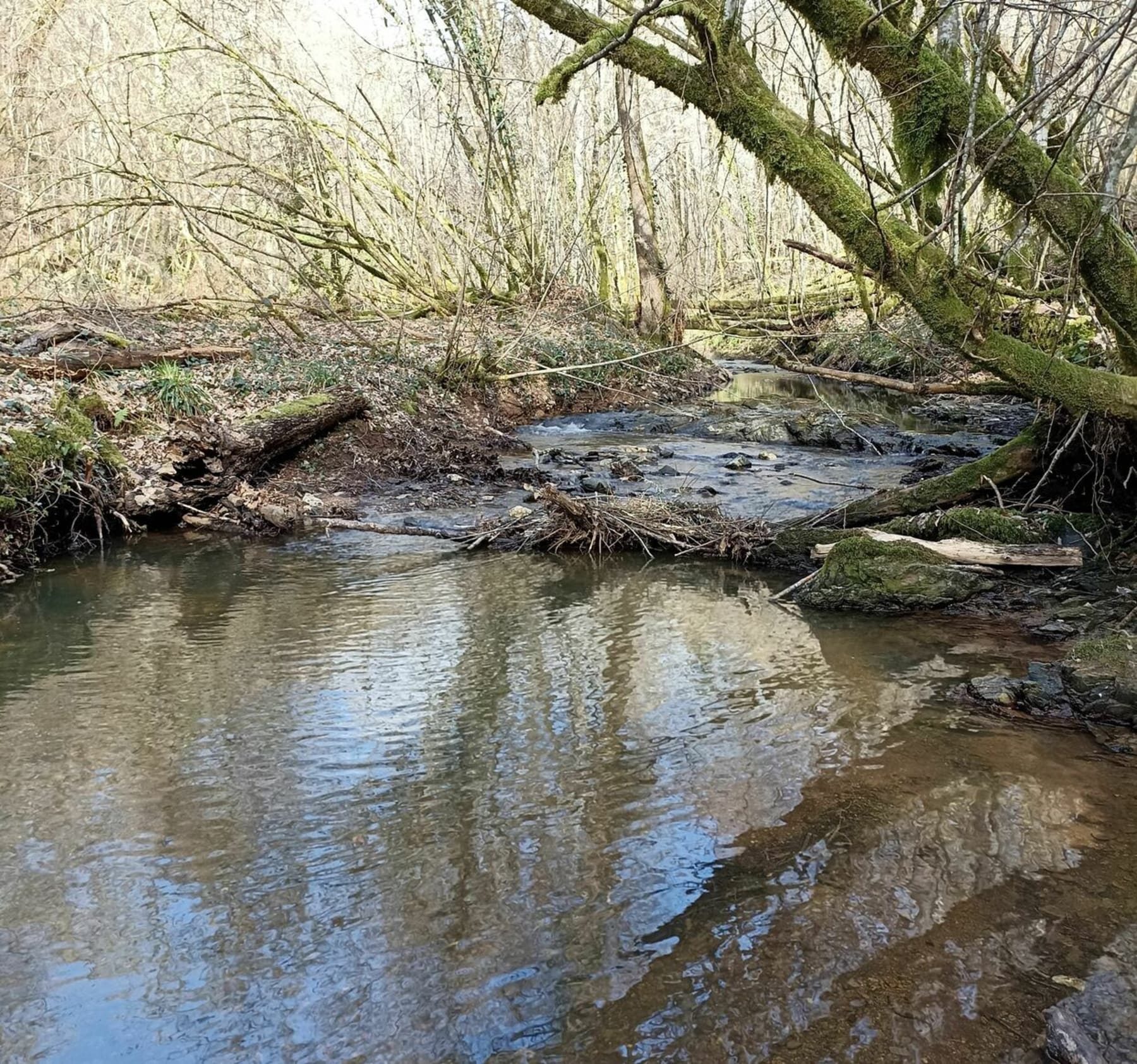 Randonnée Châtres - Boucle de Larre Saint Rabier