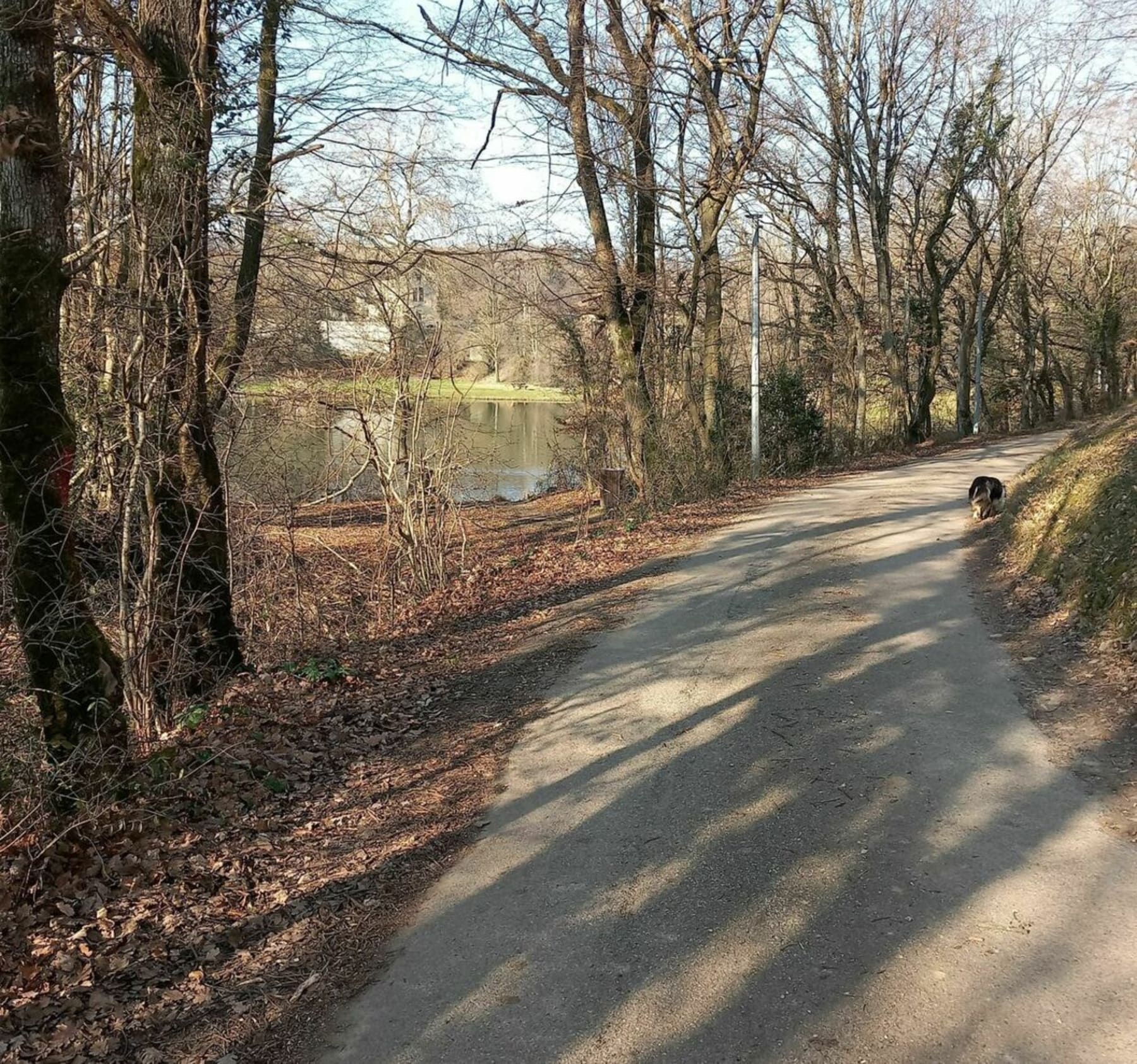 Randonnée L'Isle-d'Abeau - Le cœur du golf boisé