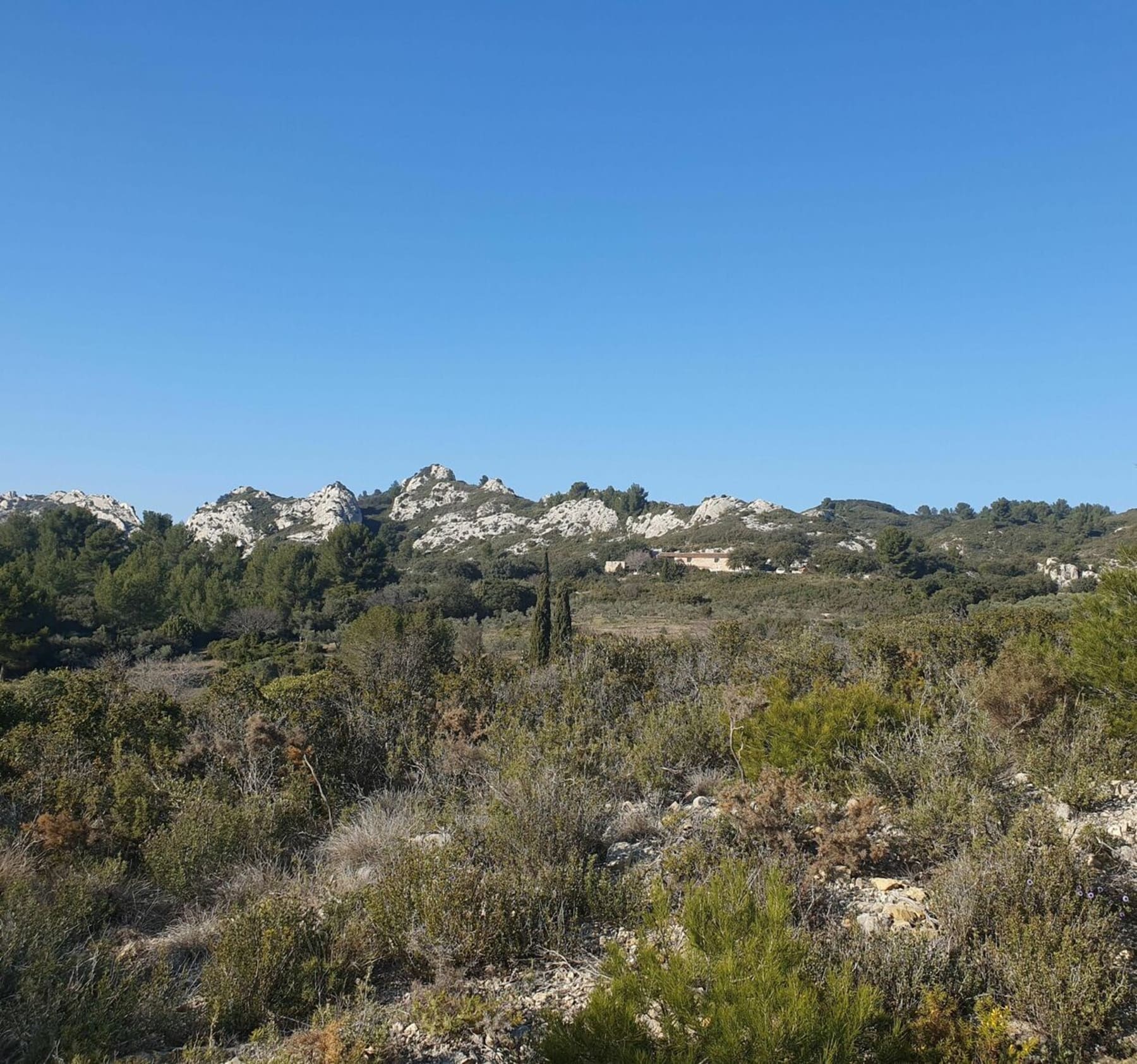 Randonnée  - Ballade autour du canal des Alpilles