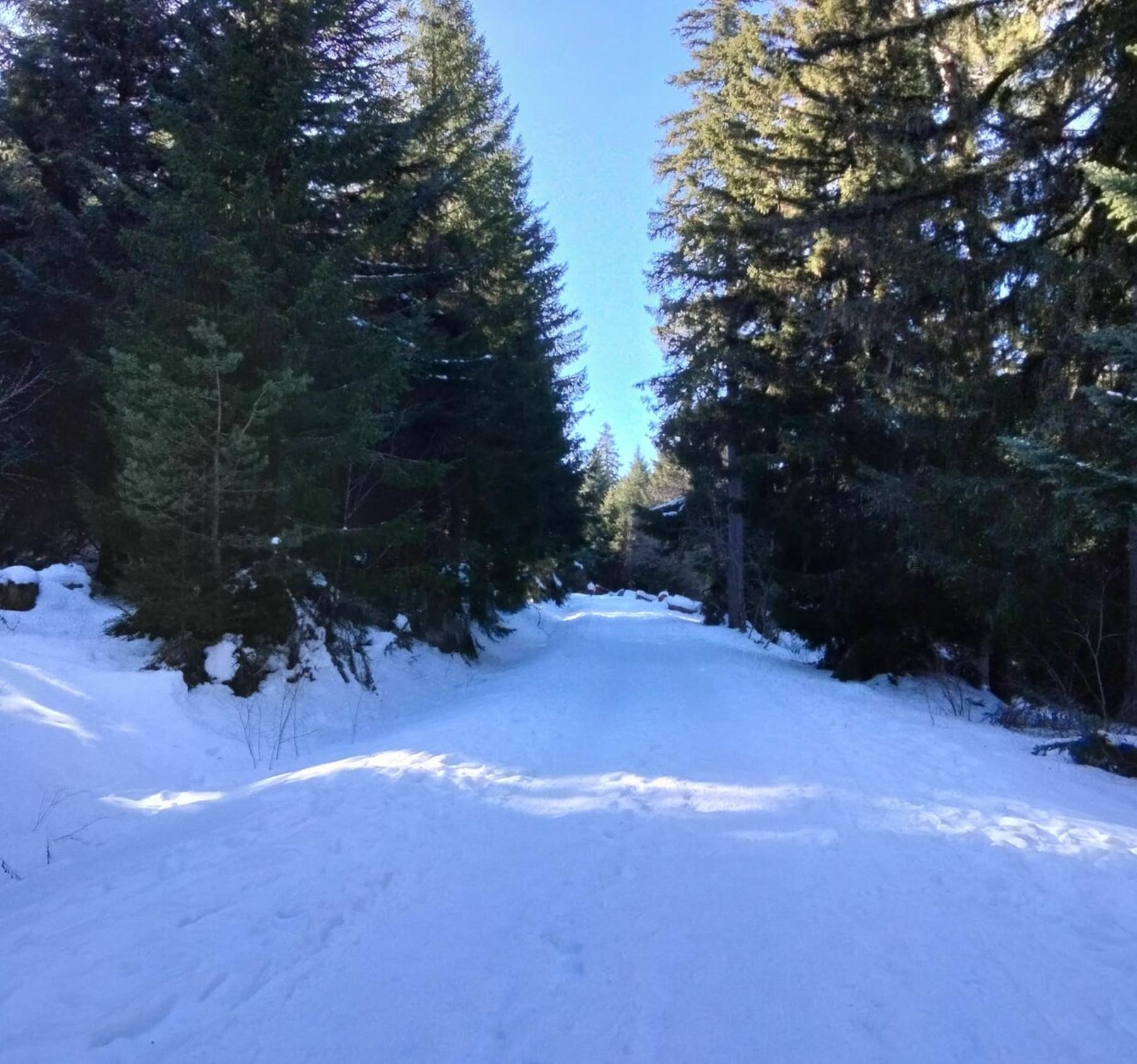 Randonnée Pessade - Sortie plein air au Bois de Pessade