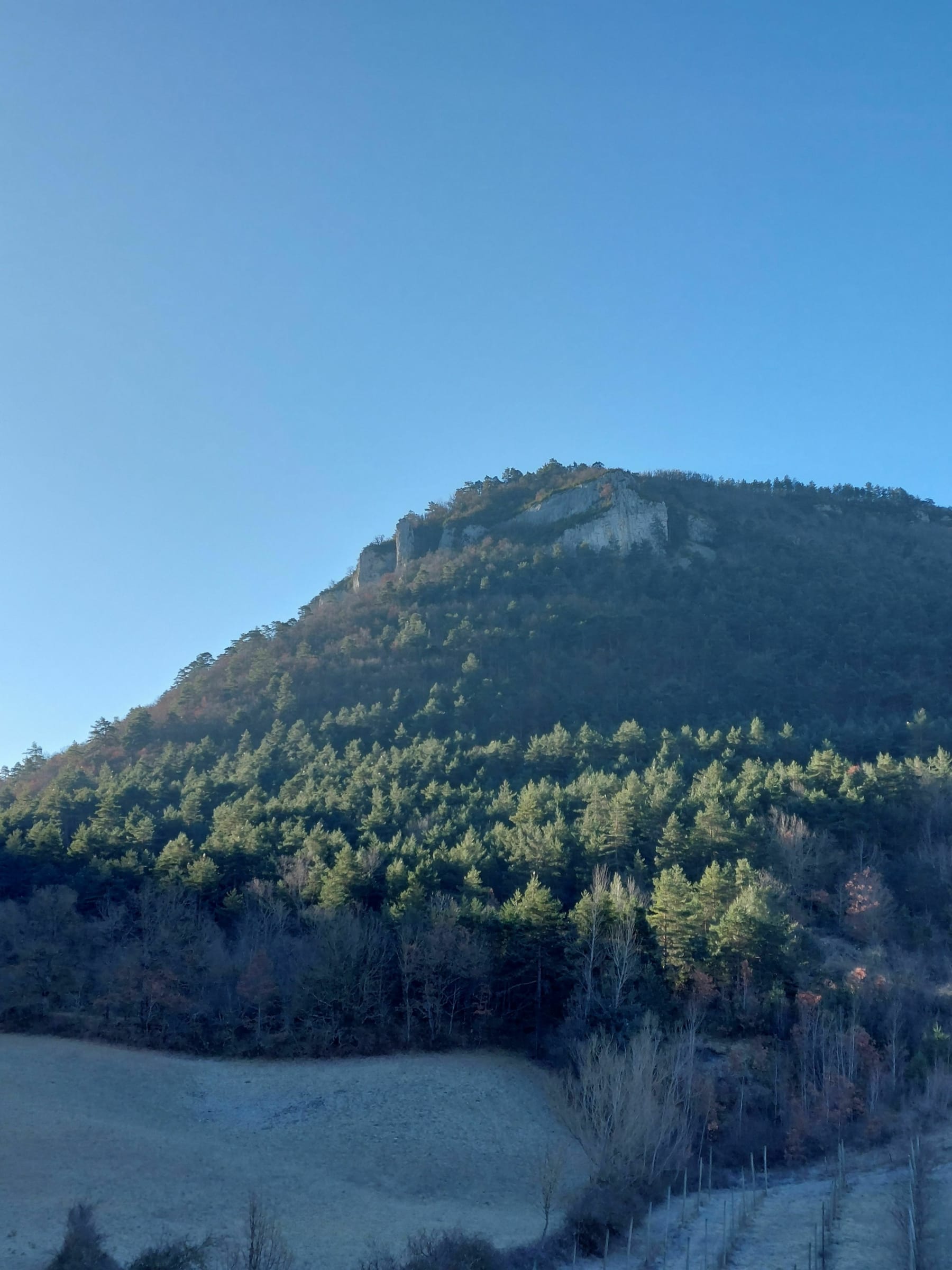 Randonnée La Cresse - Boucle ravin de La Cresse dans le Bois de Quézaguet