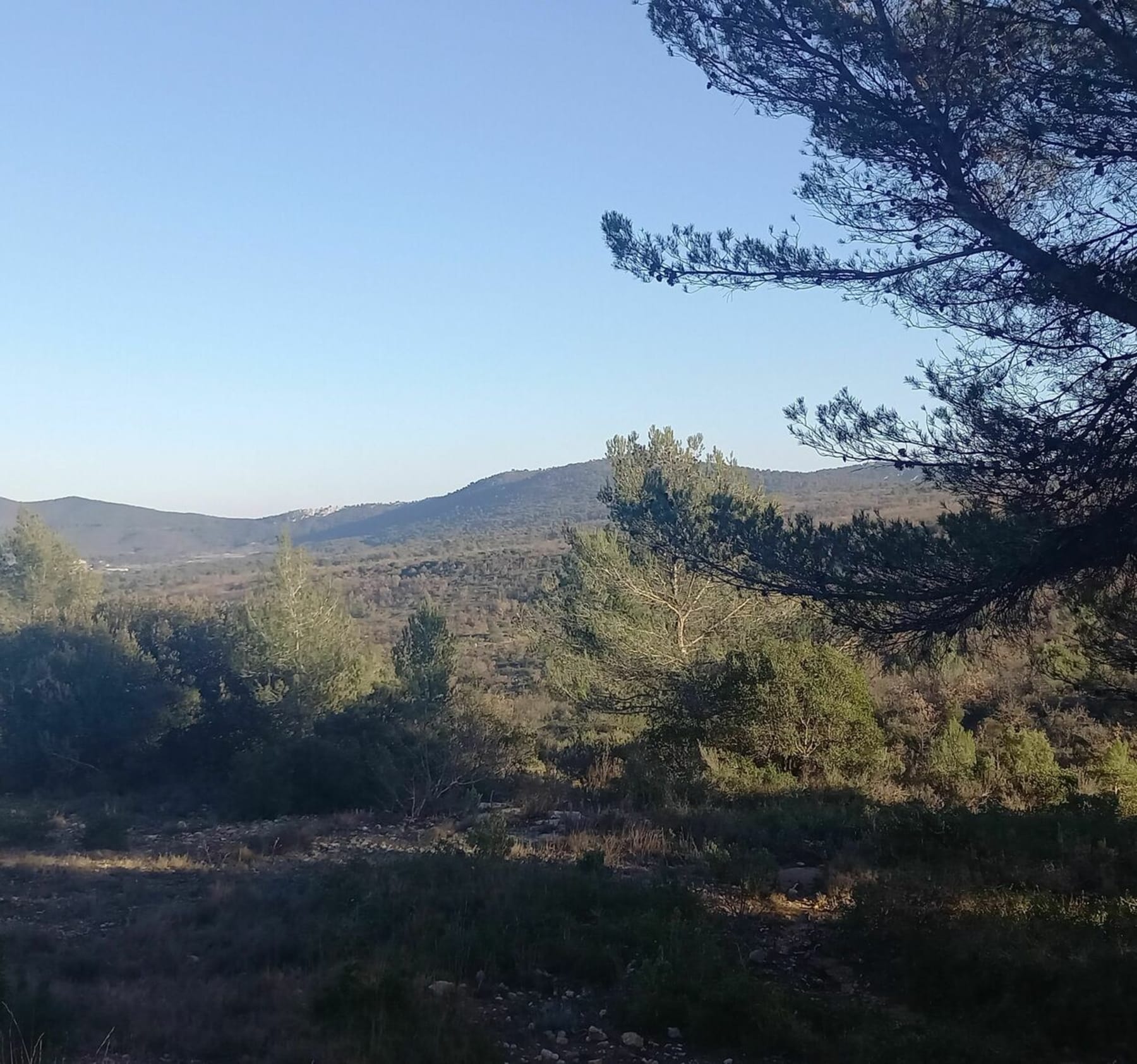 Randonnée Route de Saint-Zacharie, Kirbon - Vue sur la Sainte-Victoire depuis Kirbon