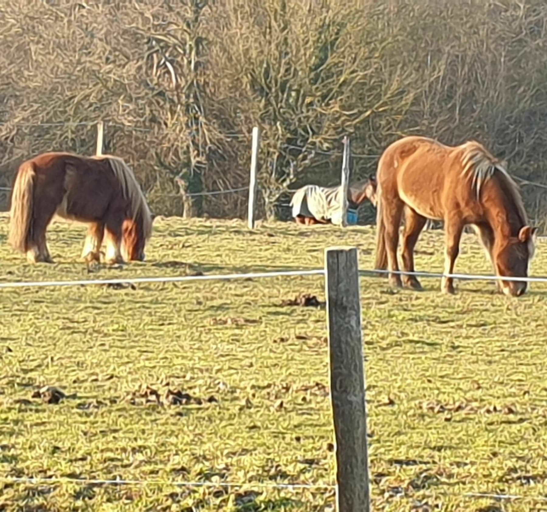 Randonnée Villeneuve-de-Marc - Sur les chemins de Villeneuve-de-Marc