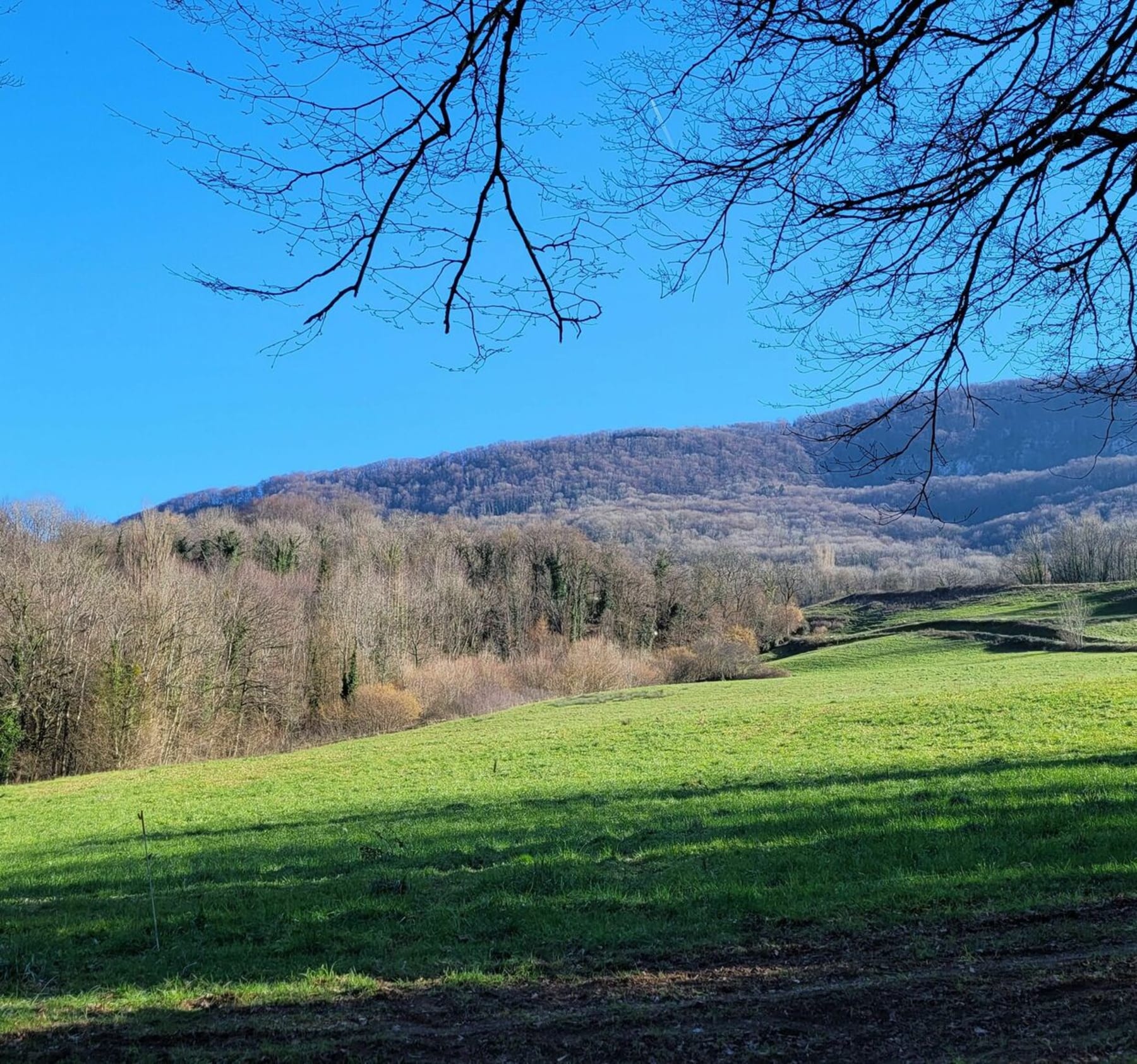 Randonnée La Chapelle-sur-Furieuse - La Chapelle-sur-Furieuse - Ivrey par Les Anciennes Tuileries