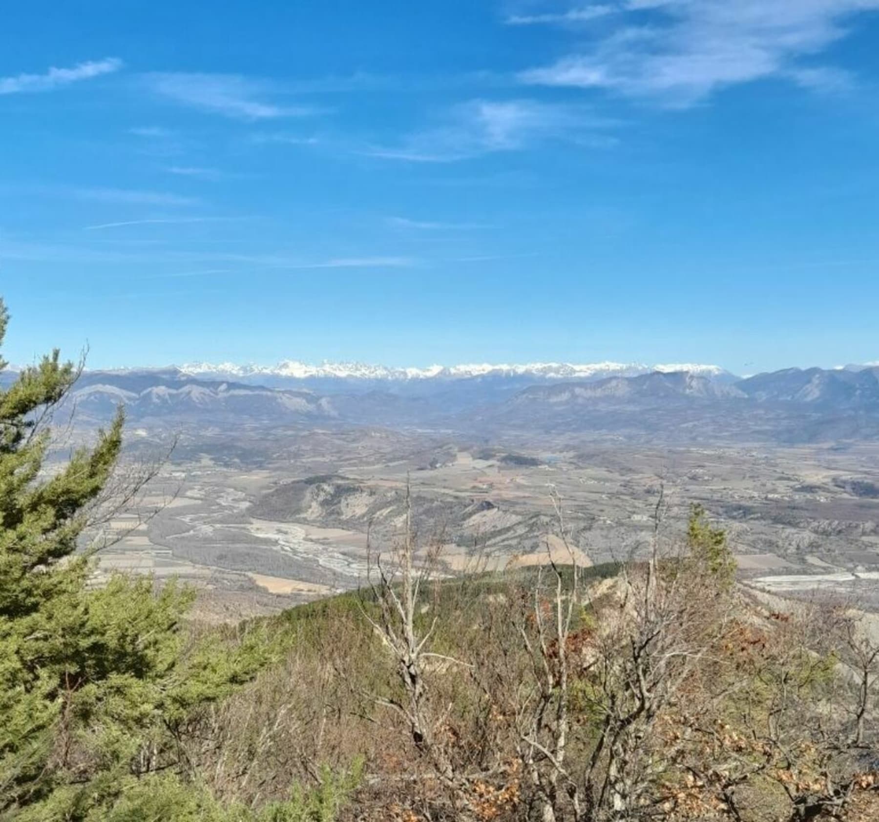 Randonnée Val Buëch-Méouge - Randonnée au sommet de la Platte depuis Antonaves