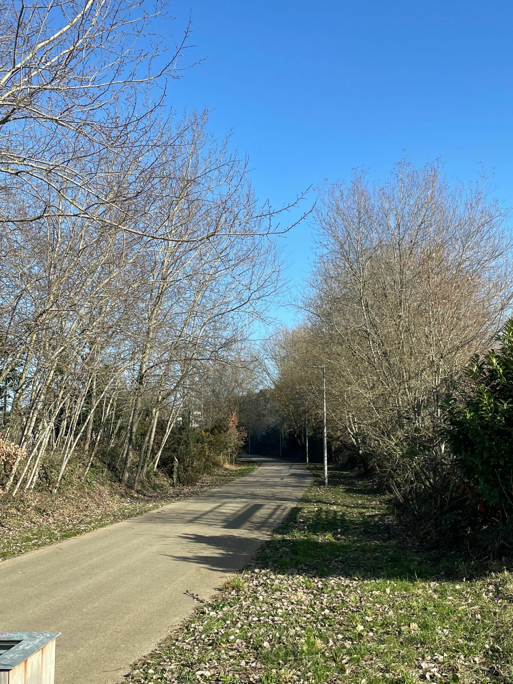 Randonnée Saint-Brieuc - Marche sur la première partie du petit Chemin Vert en Breton