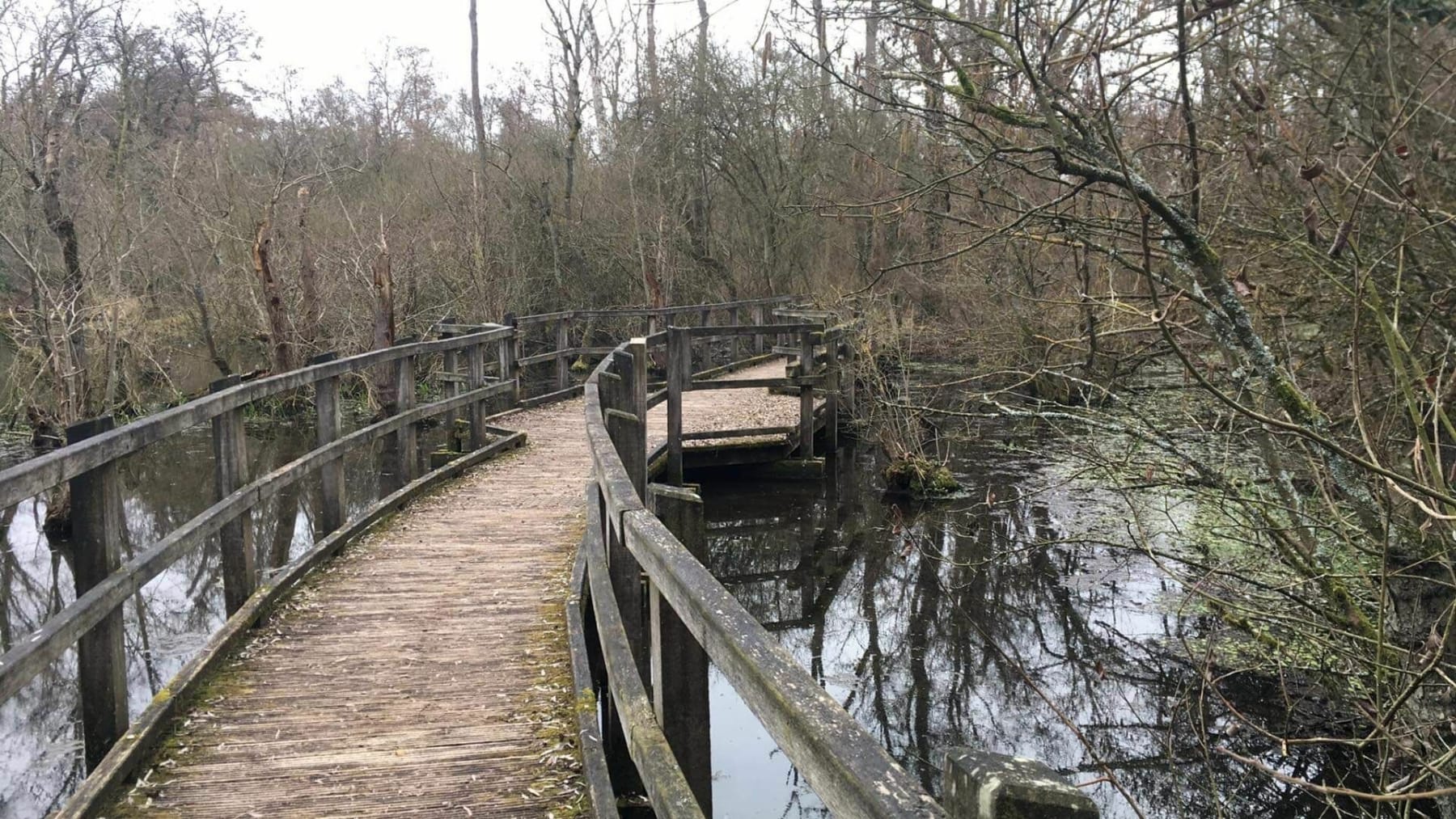 Randonnée Cambrin - Un petit tour dans les marais de Cambrin