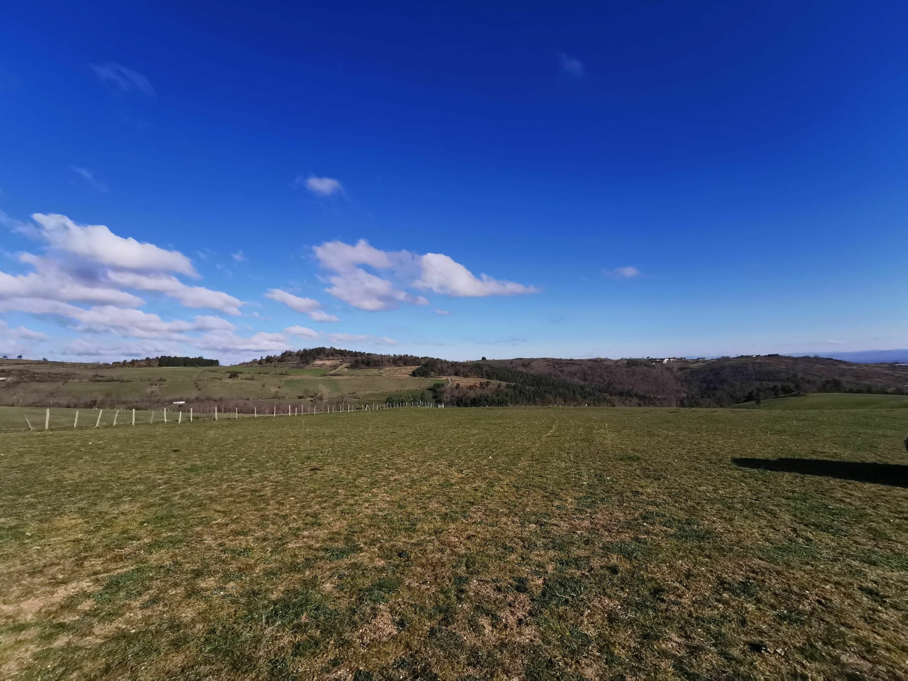 Randonnée Saint-Médard-en-Forez - Balade dans la campagne à Saint Médard en Forez