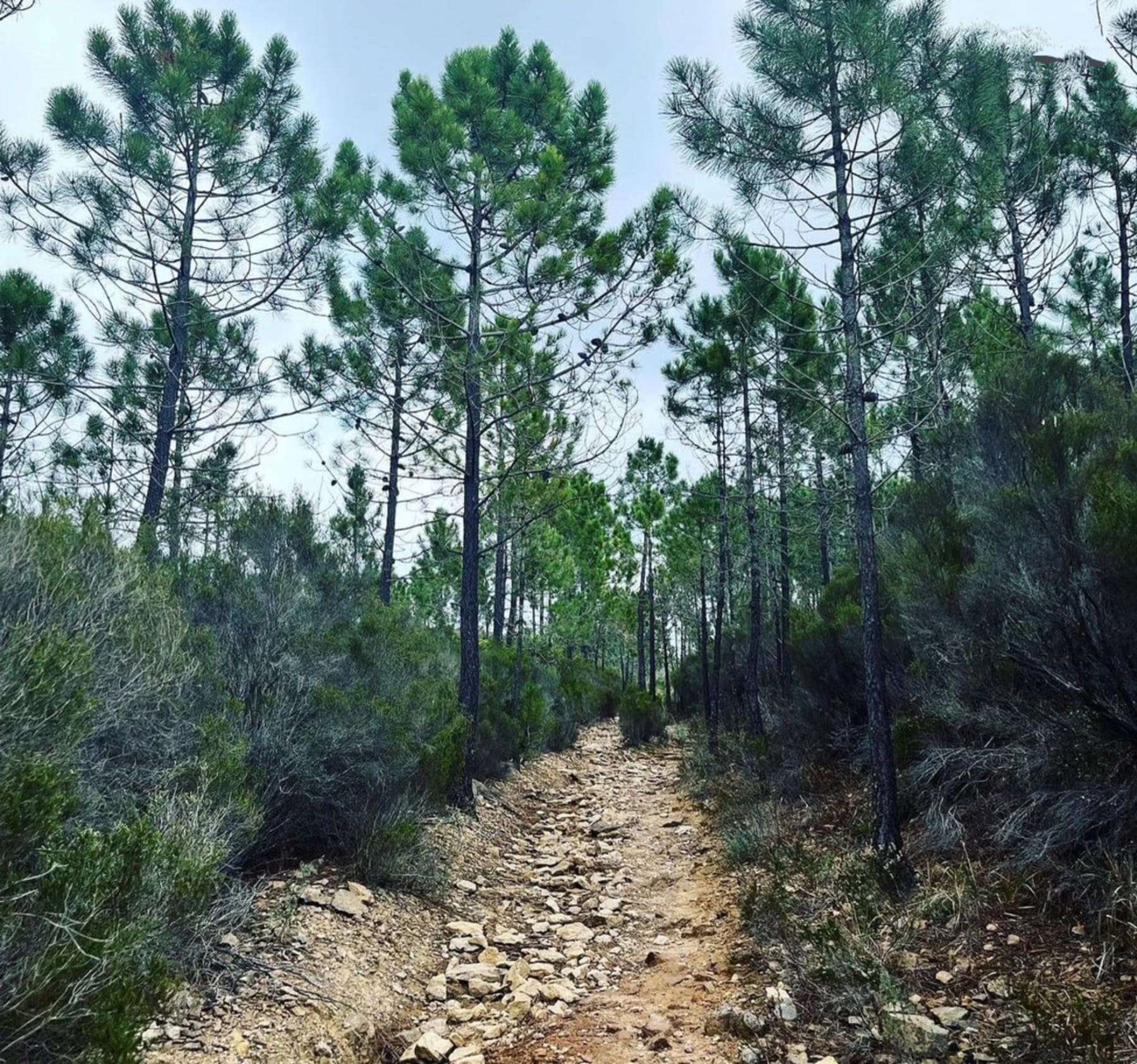 Randonnée Saint-Raphaël - Balade sur le sentier de Roussiveau