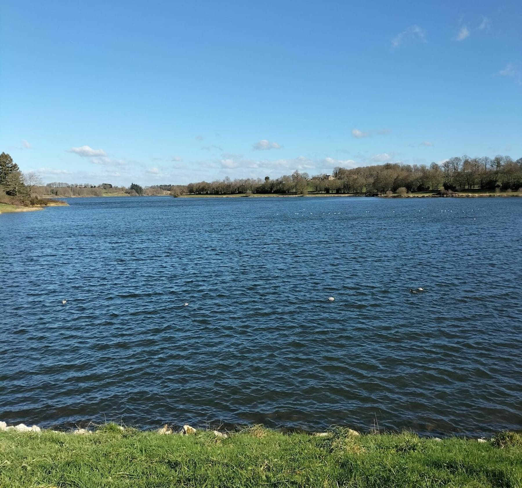 Randonnée Vitré - Tour du plan d'eau de la Valière