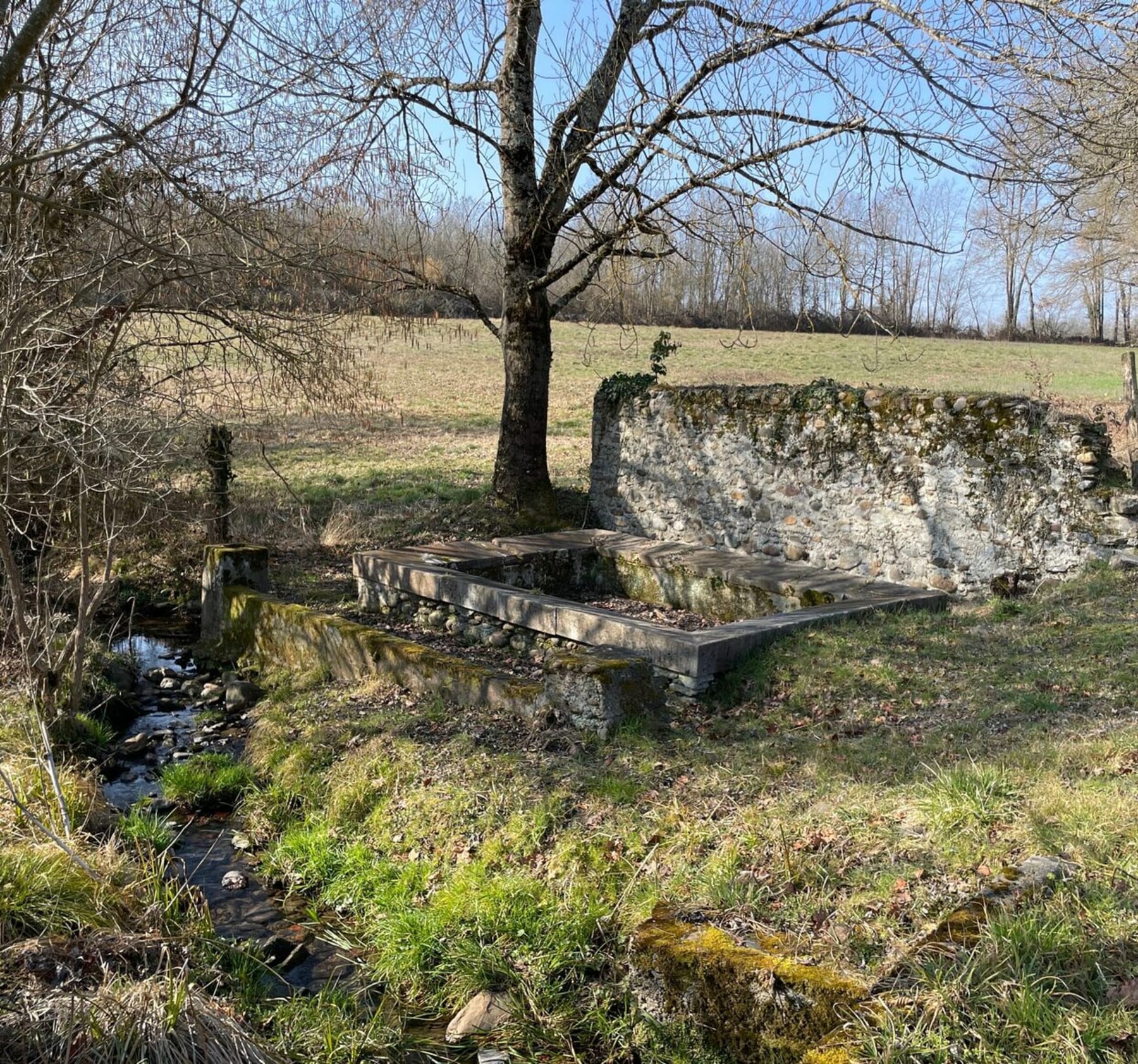 Randonnée Labarthe-Inard - Boucle du Cap du Bosquet à Labarthe-Inard