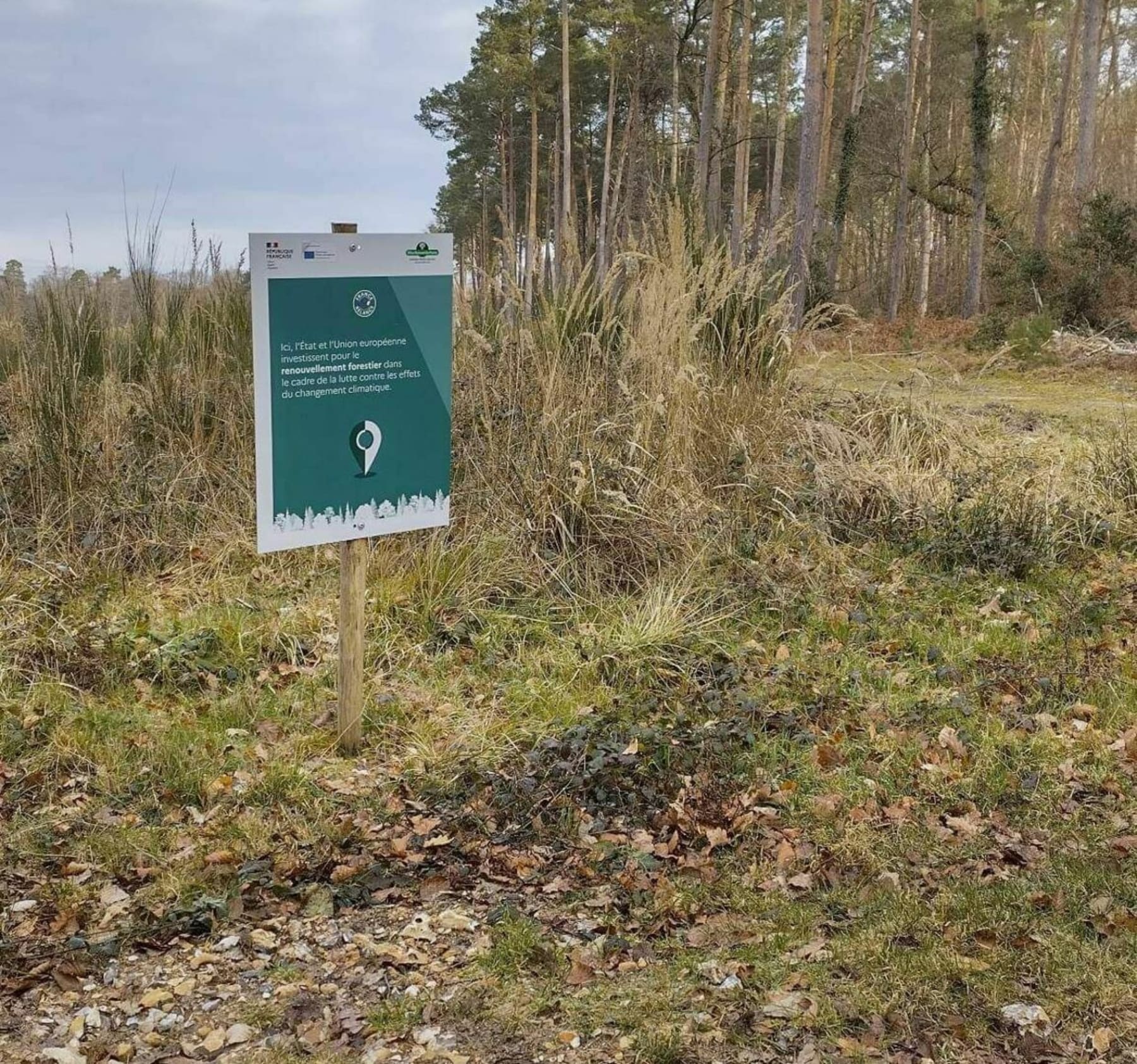 Randonnée Val-de-Reuil - Randonnée en forêt de Bord