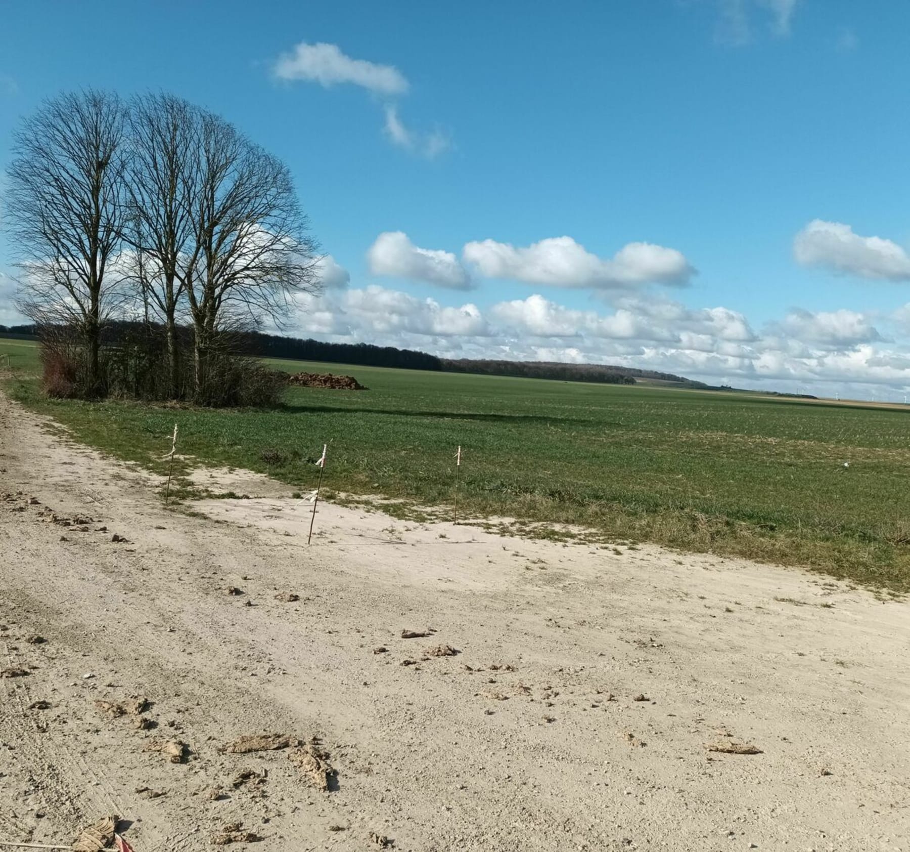 Randonnée Estrée-Blanche - Estrée Blanche - Monts et Campagnes - 21.5 kms