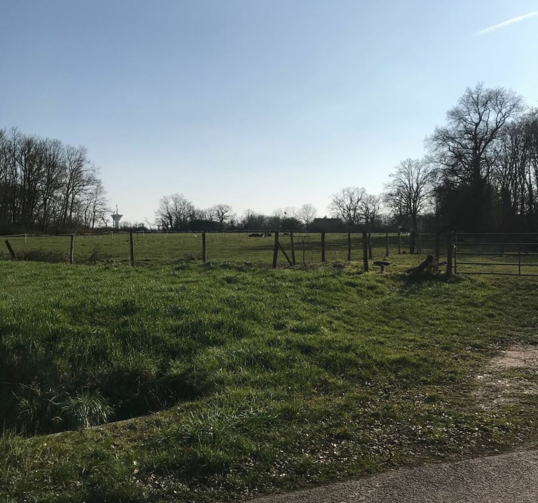 Randonnée Cosne-Cours-sur-Loire - Balade autour de Villechaud