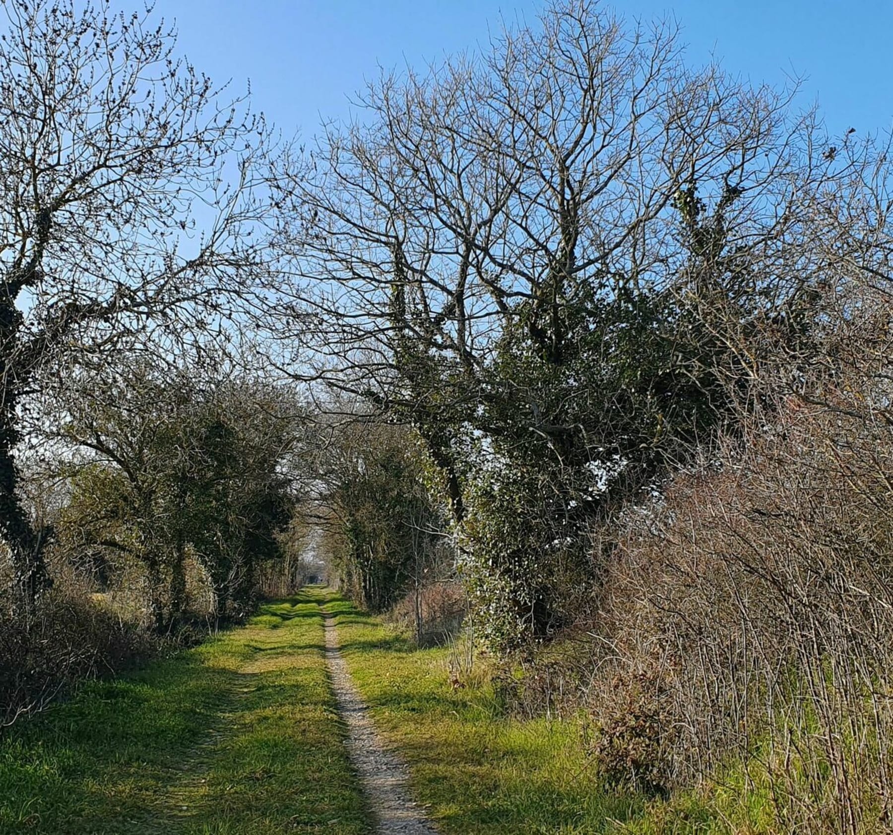 Randonnée Marennes-Hiers-Brouage - Balade dans Marennes