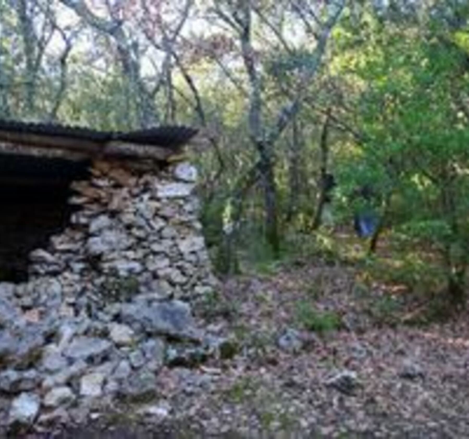 Randonnée Barjac - Balade entre dolmens et cèdres sur les hauts de Barjac