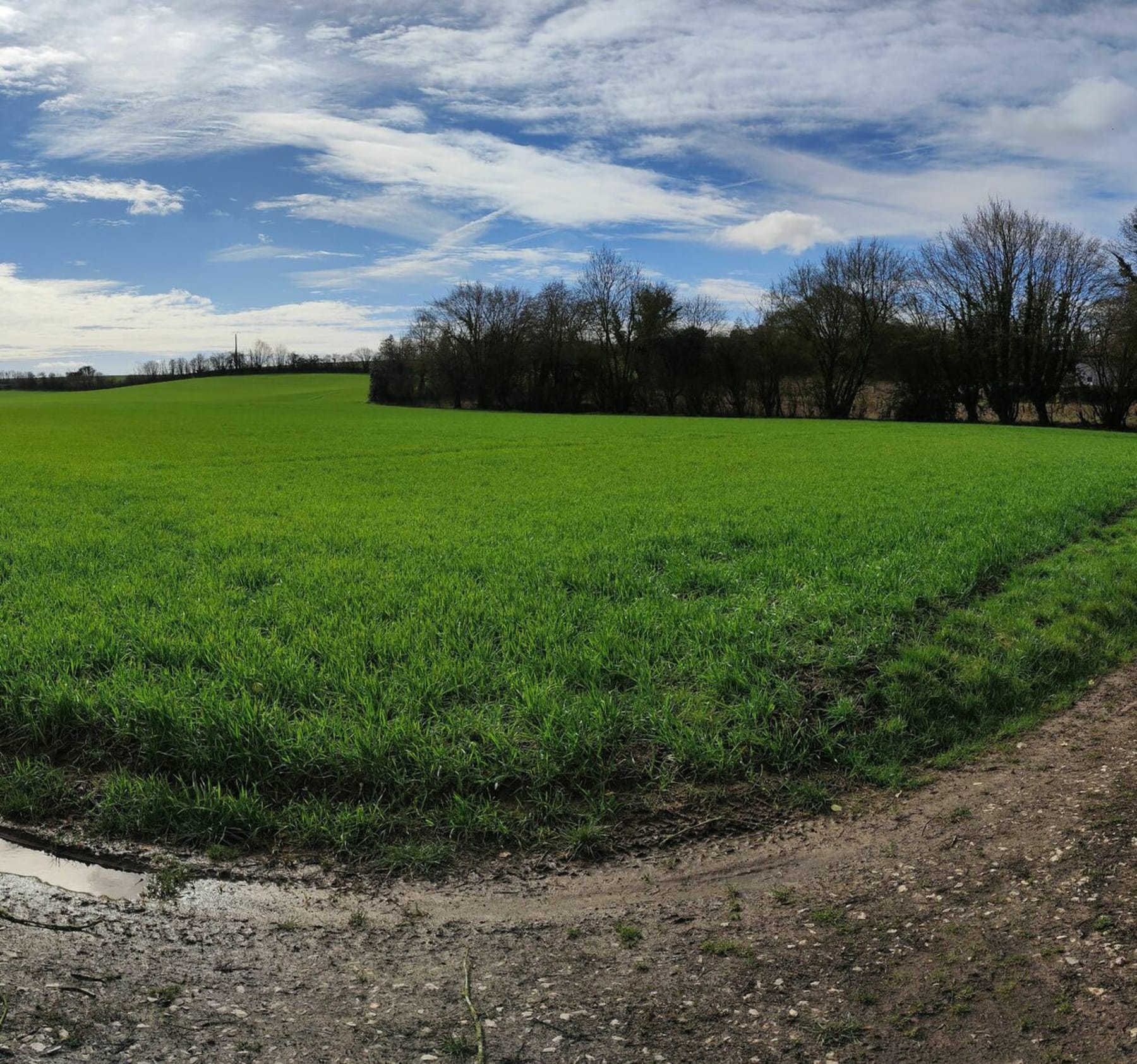 Randonnée Saint-Pol-sur-Ternoise - Balade autour de Saint-Pol-sur-Ternoise