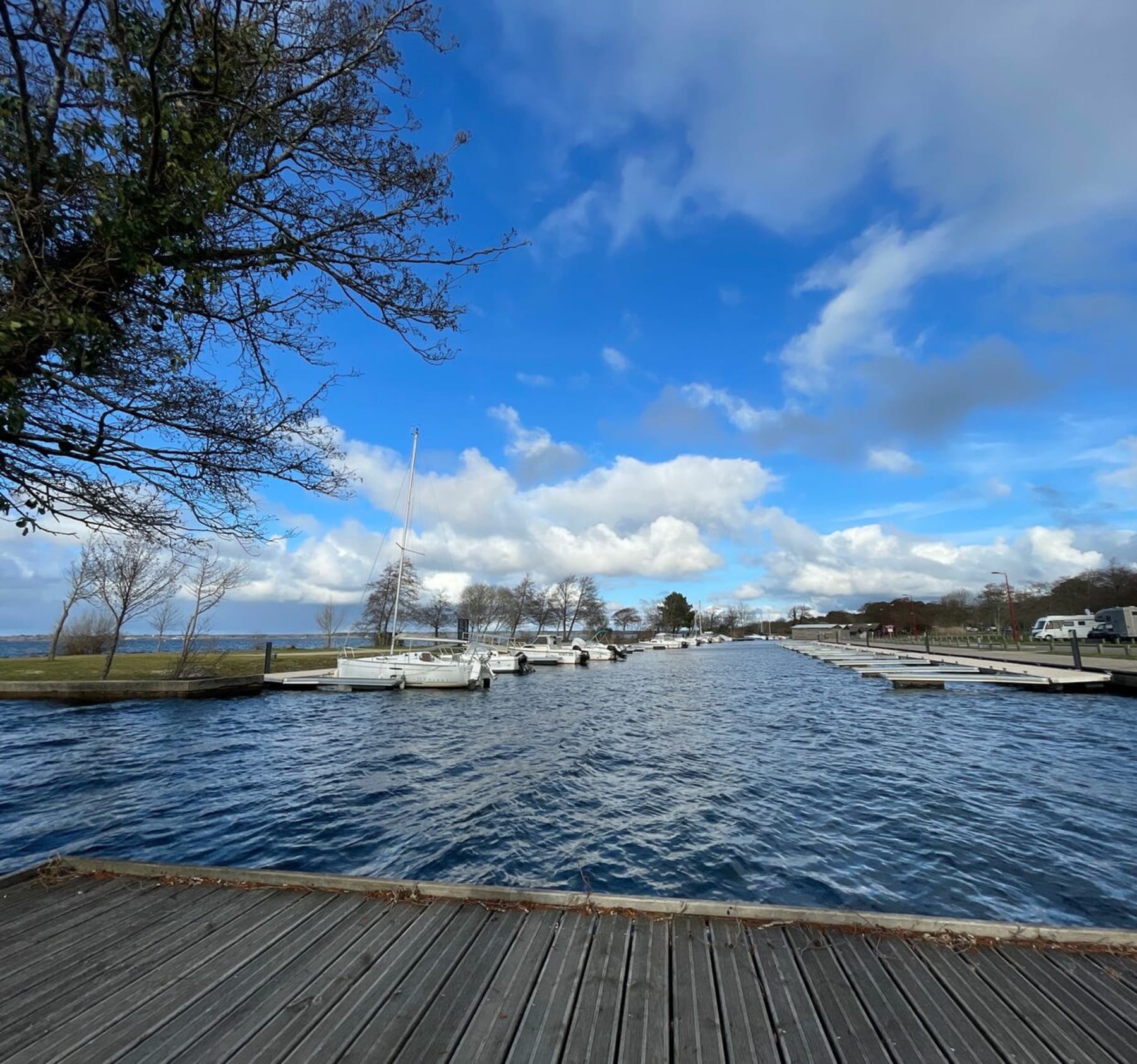 Randonnée Gastes - Port de Gastes depuis Parentis en Born centre ville