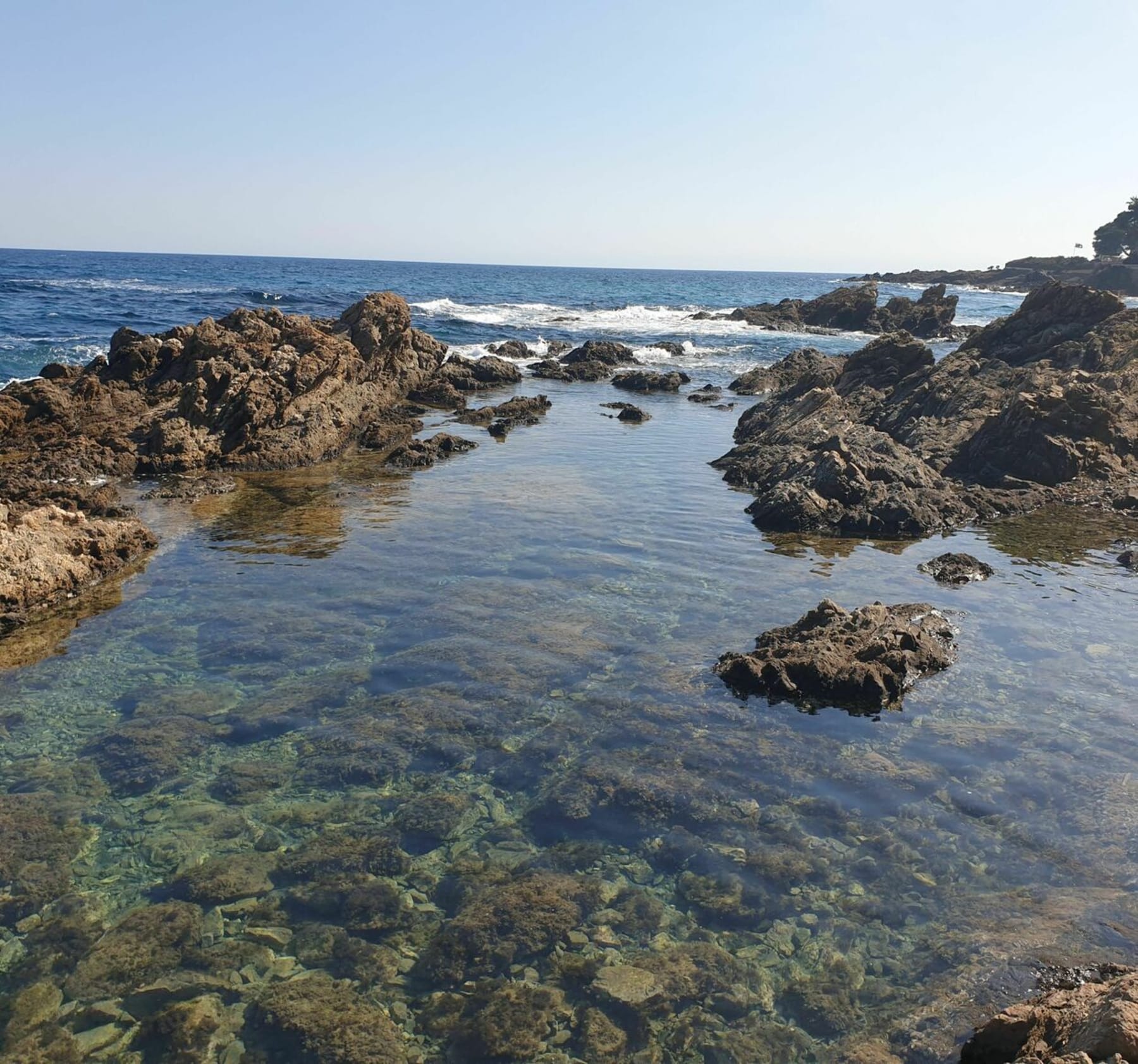 Randonnée Fréjus - Saint-Aygulf mère et garrigues